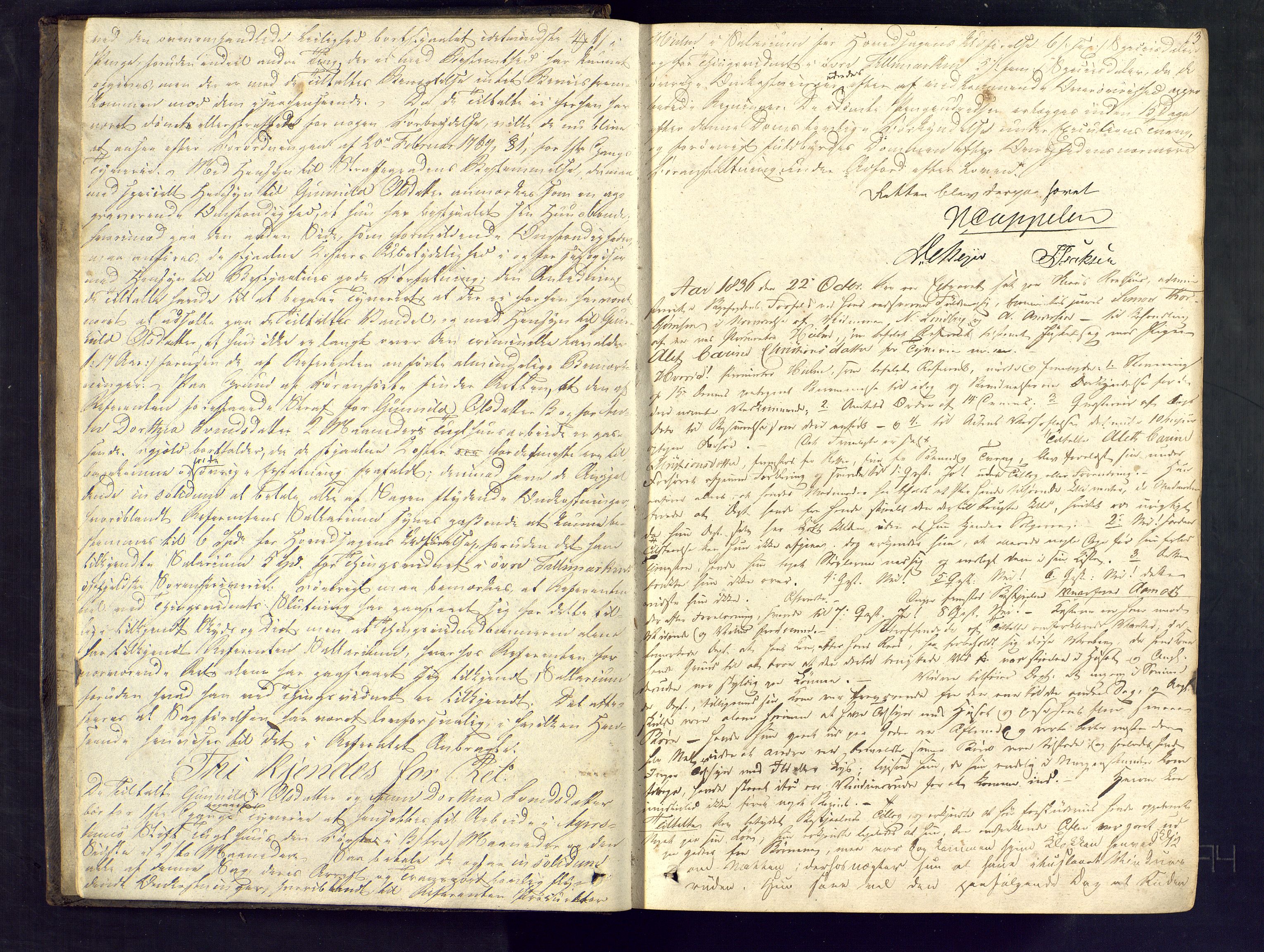 Skien byfogd, AV/SAKO-A-219/F/Fc/L0002: Sivil ekstrarettsprotokoll., 1836-1843, s. 12-13
