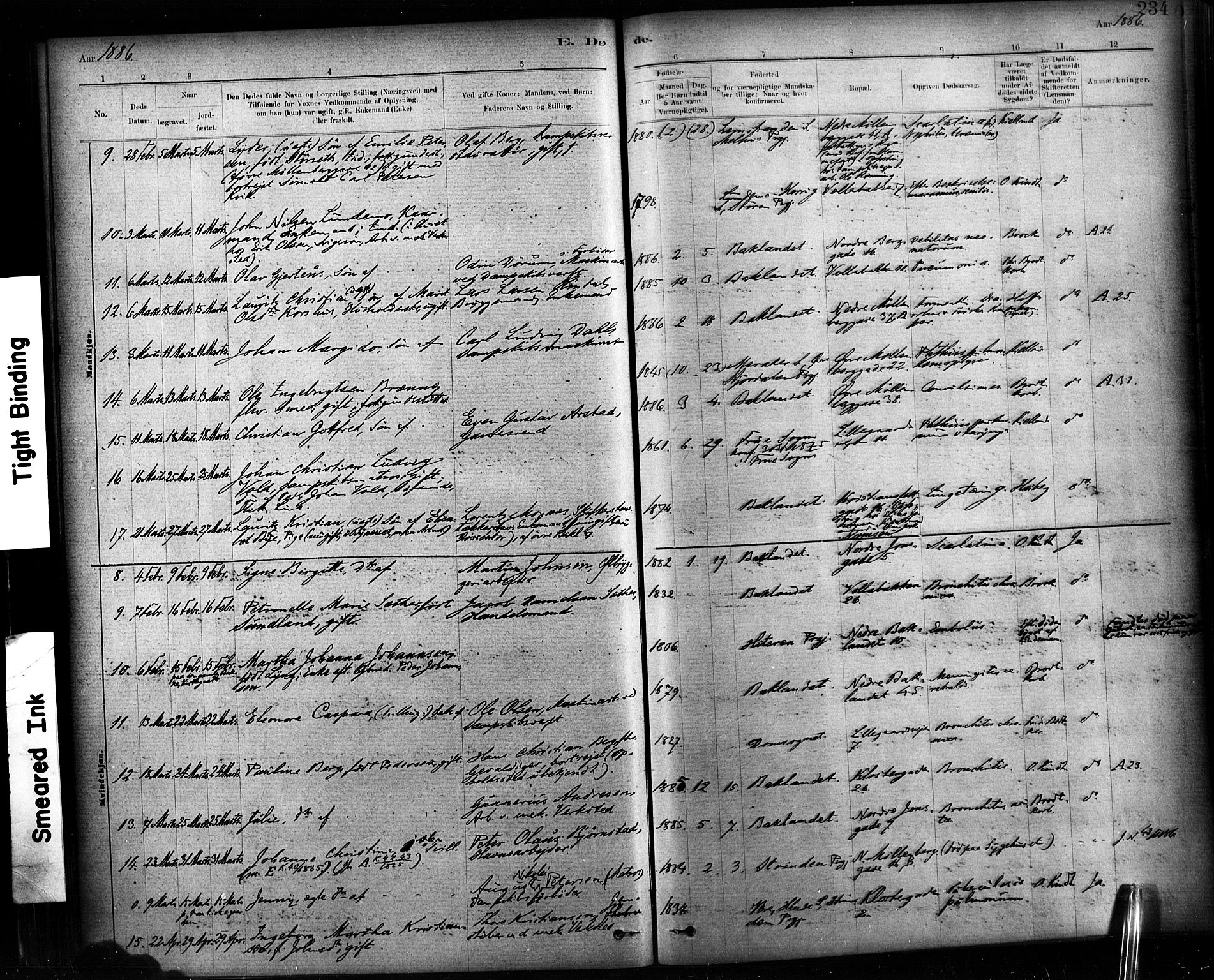 Ministerialprotokoller, klokkerbøker og fødselsregistre - Sør-Trøndelag, AV/SAT-A-1456/604/L0189: Ministerialbok nr. 604A10, 1878-1892, s. 234