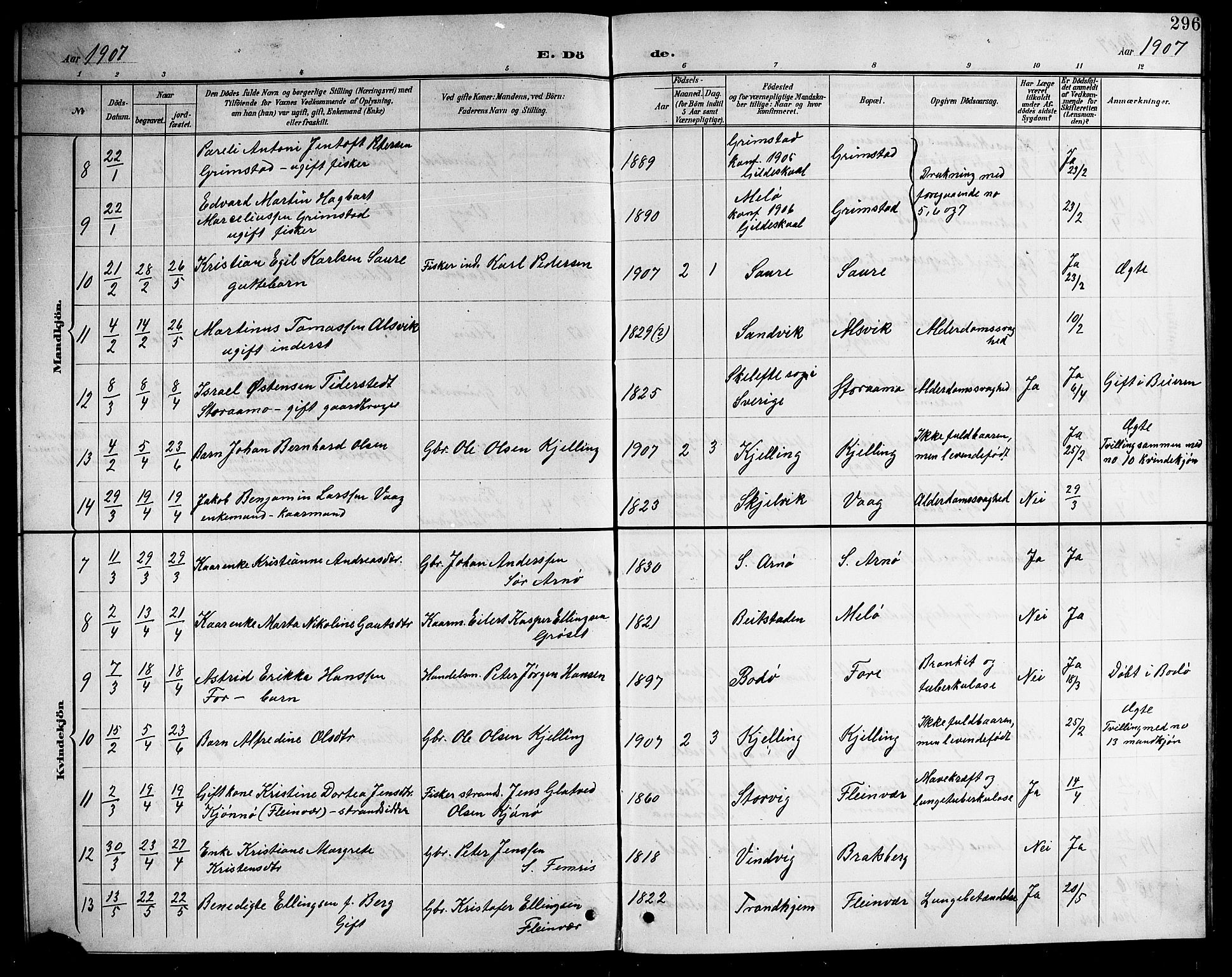 Ministerialprotokoller, klokkerbøker og fødselsregistre - Nordland, SAT/A-1459/805/L0109: Klokkerbok nr. 805C05, 1900-1911, s. 296