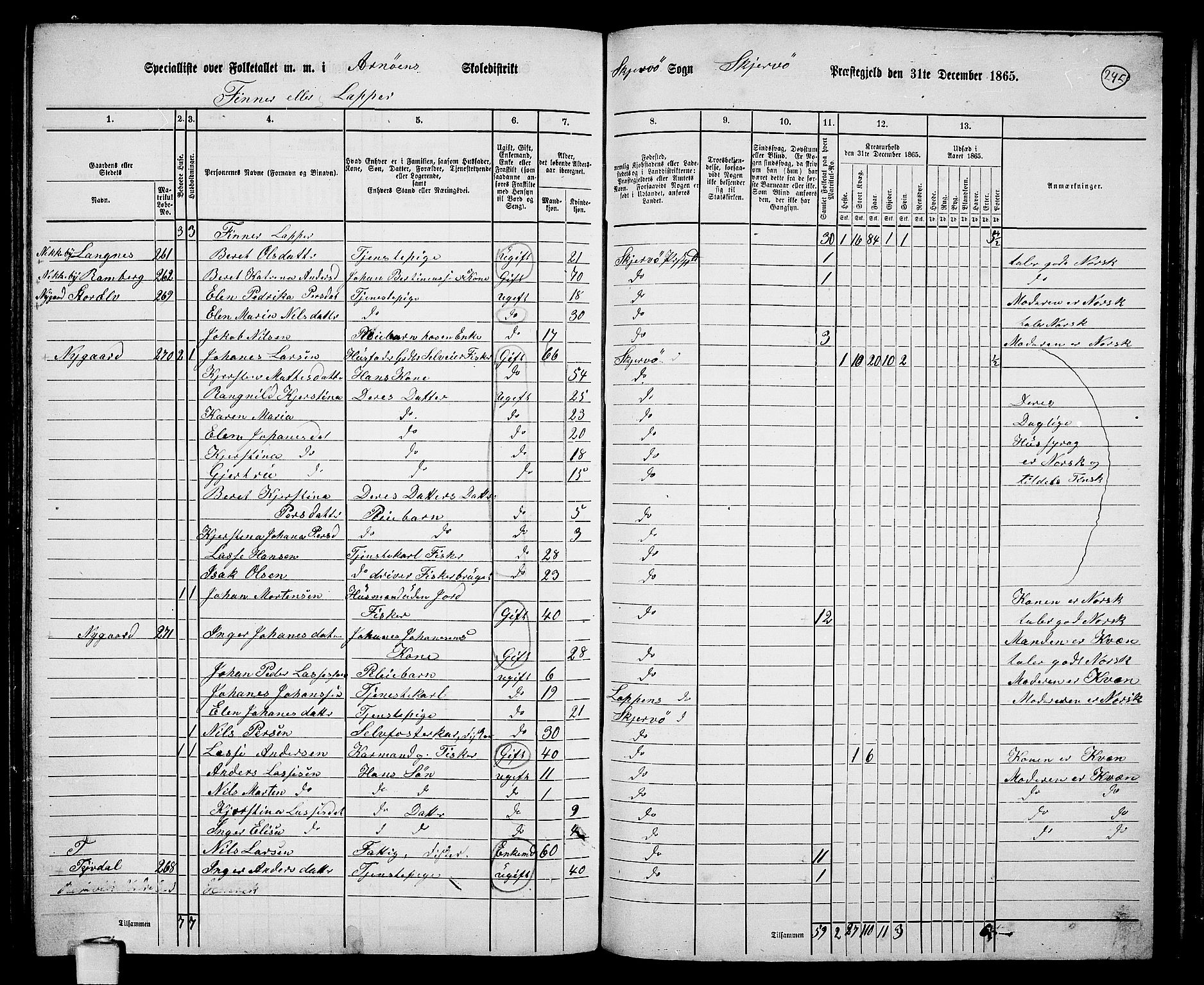 RA, Folketelling 1865 for 1941P Skjervøy prestegjeld, 1865, s. 125