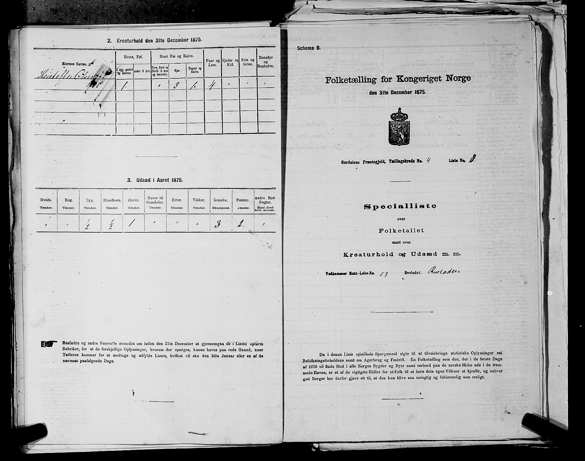 RA, Folketelling 1875 for 0239P Hurdal prestegjeld, 1875, s. 696