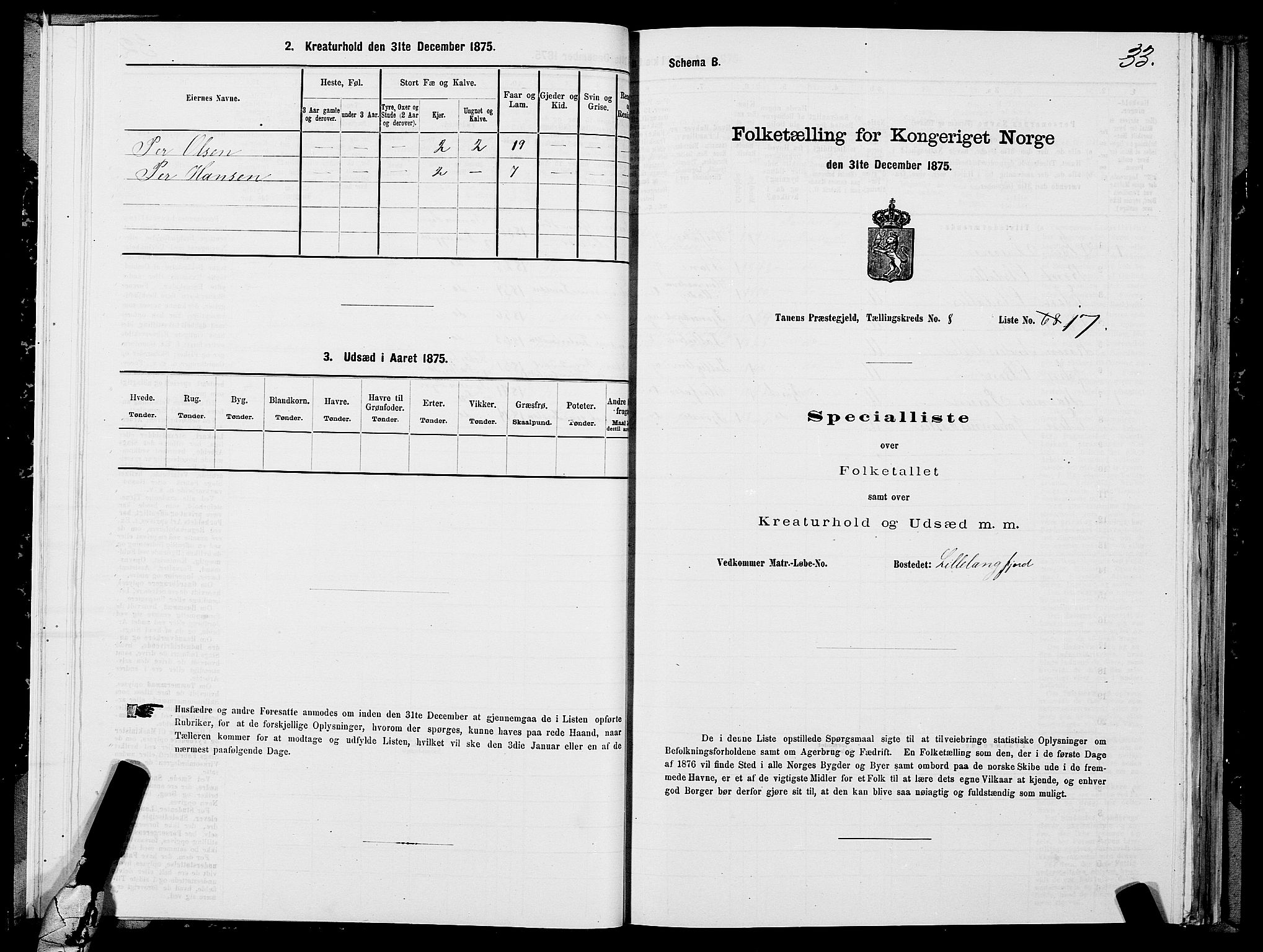 SATØ, Folketelling 1875 for 2025P Tana prestegjeld, 1875, s. 3033