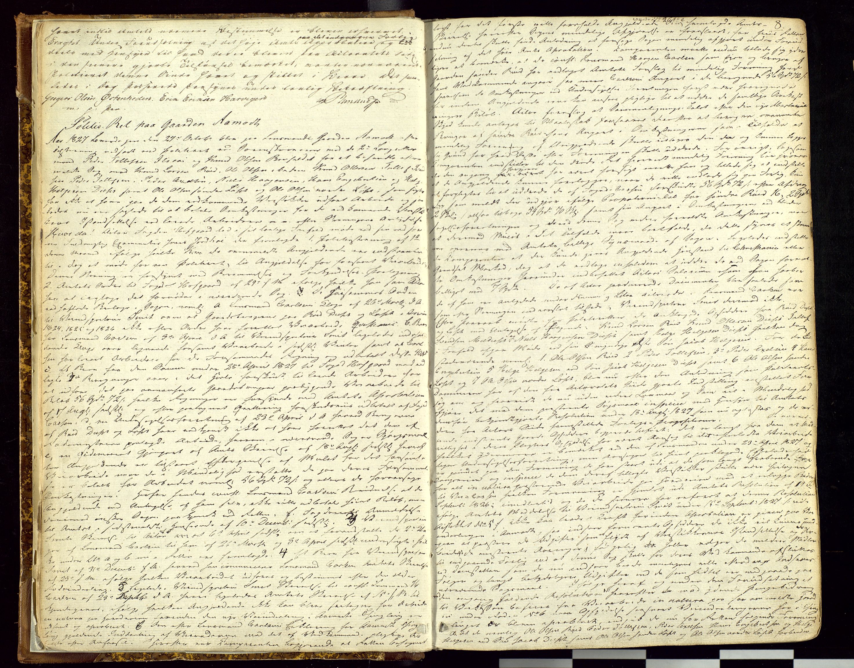Østerdalen sorenskriveri, AV/SAH-TING-032/G/Gc/L0006: Ekstrarettsprotokoll, 1827-1832, s. 8