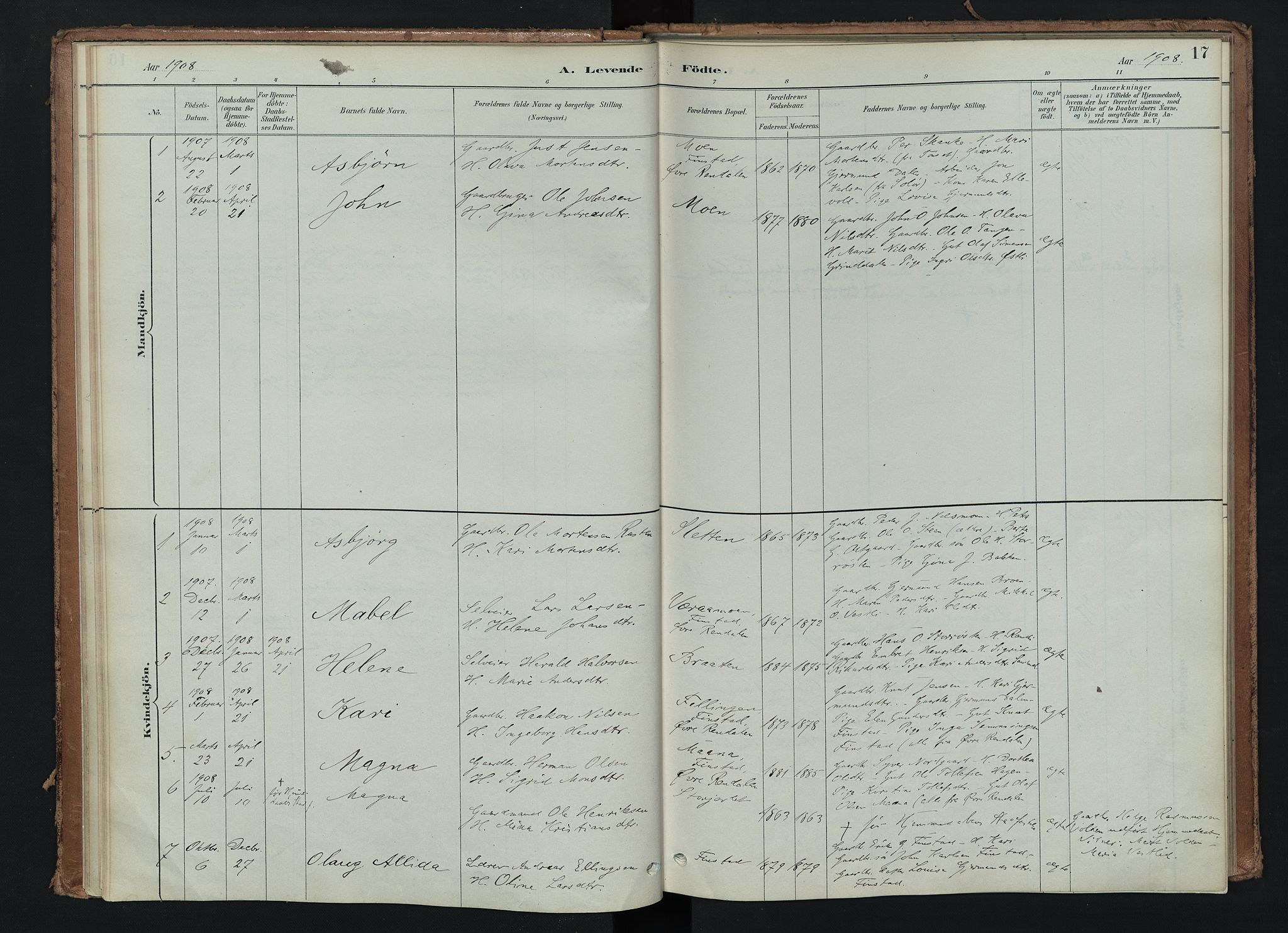 Tynset prestekontor, AV/SAH-PREST-058/H/Ha/Haa/L0024: Ministerialbok nr. 24, 1885-1916, s. 17