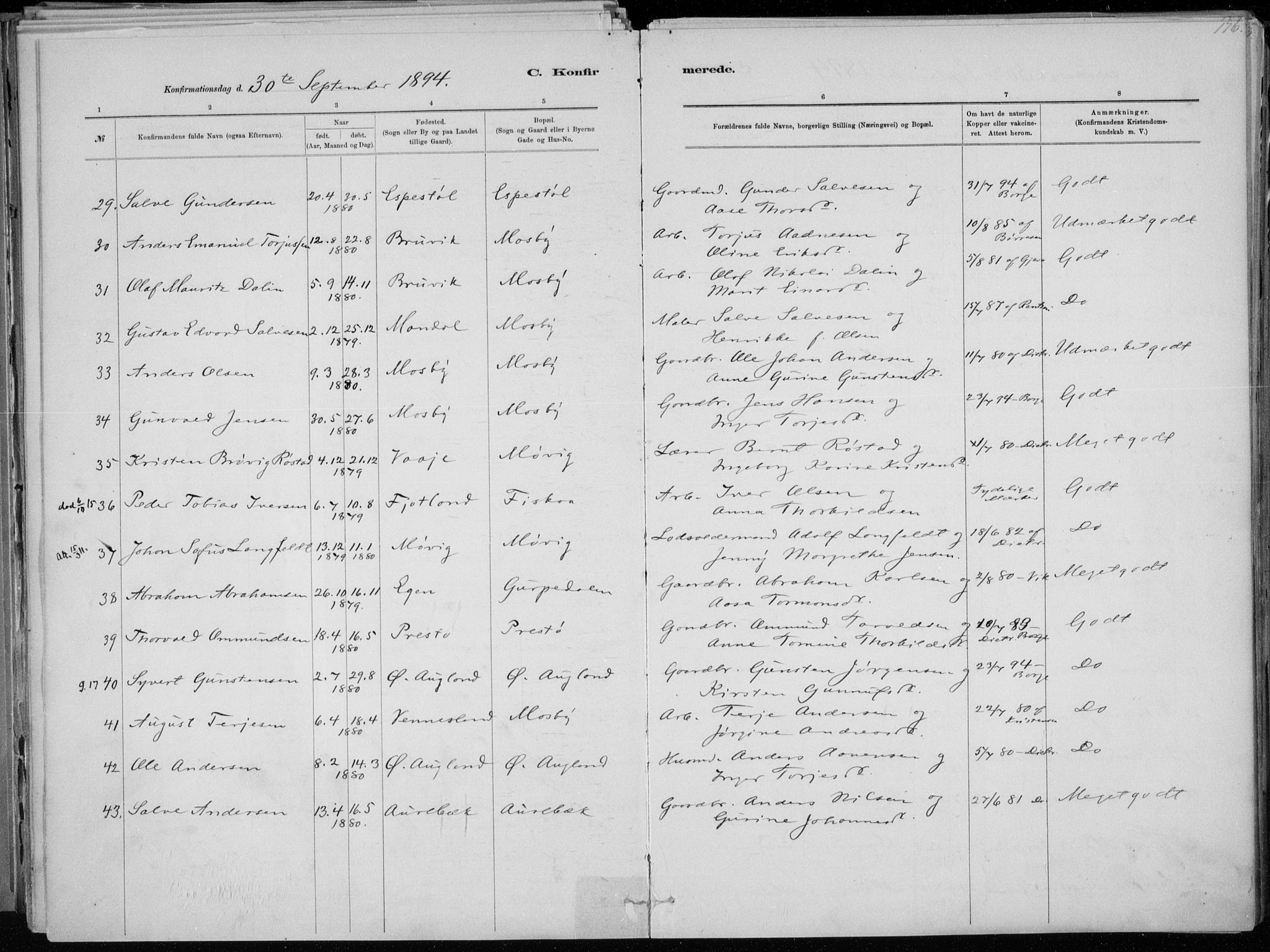 Oddernes sokneprestkontor, SAK/1111-0033/F/Fa/Faa/L0009: Ministerialbok nr. A 9, 1884-1896, s. 176