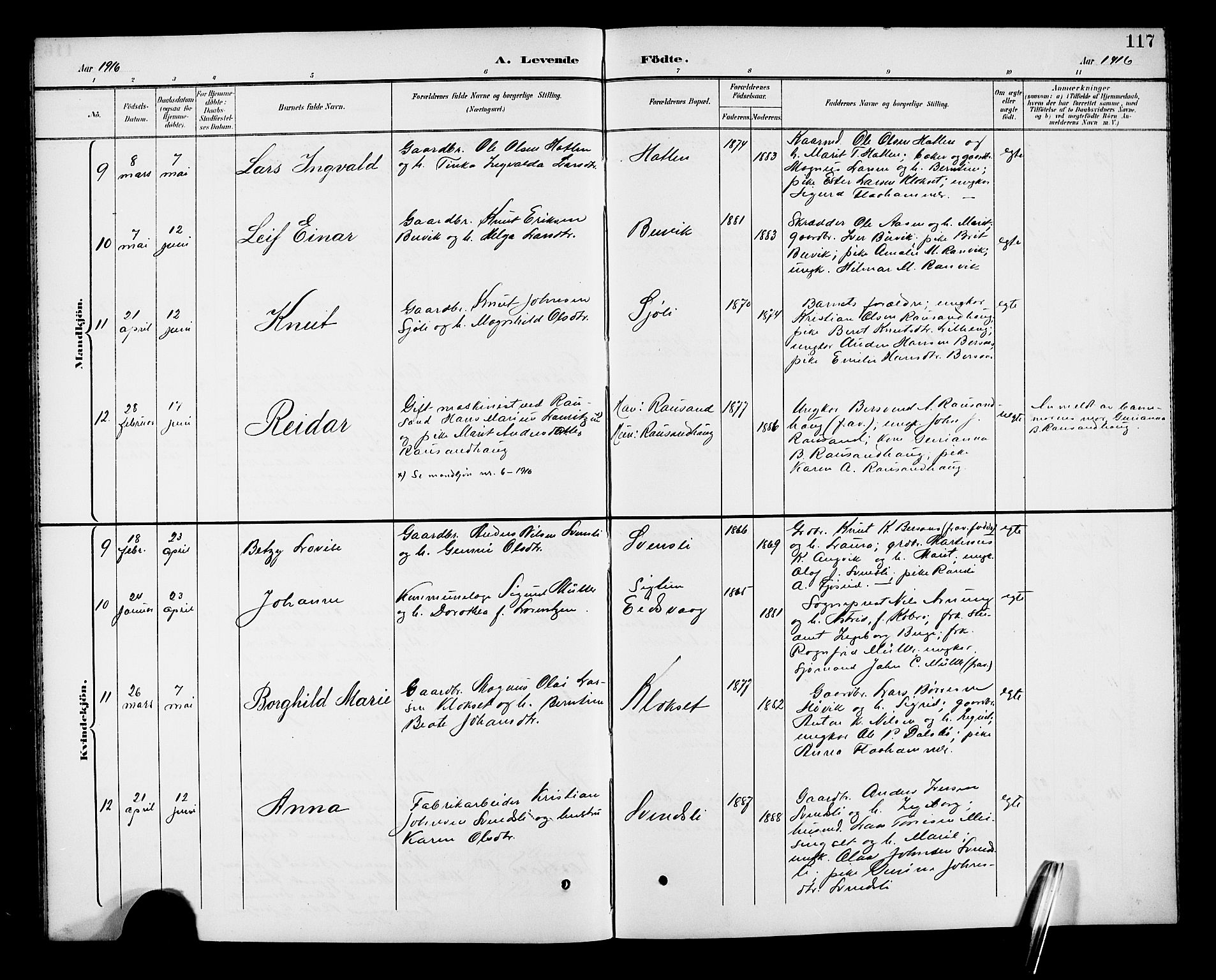 Ministerialprotokoller, klokkerbøker og fødselsregistre - Møre og Romsdal, AV/SAT-A-1454/551/L0632: Klokkerbok nr. 551C04, 1894-1920, s. 117