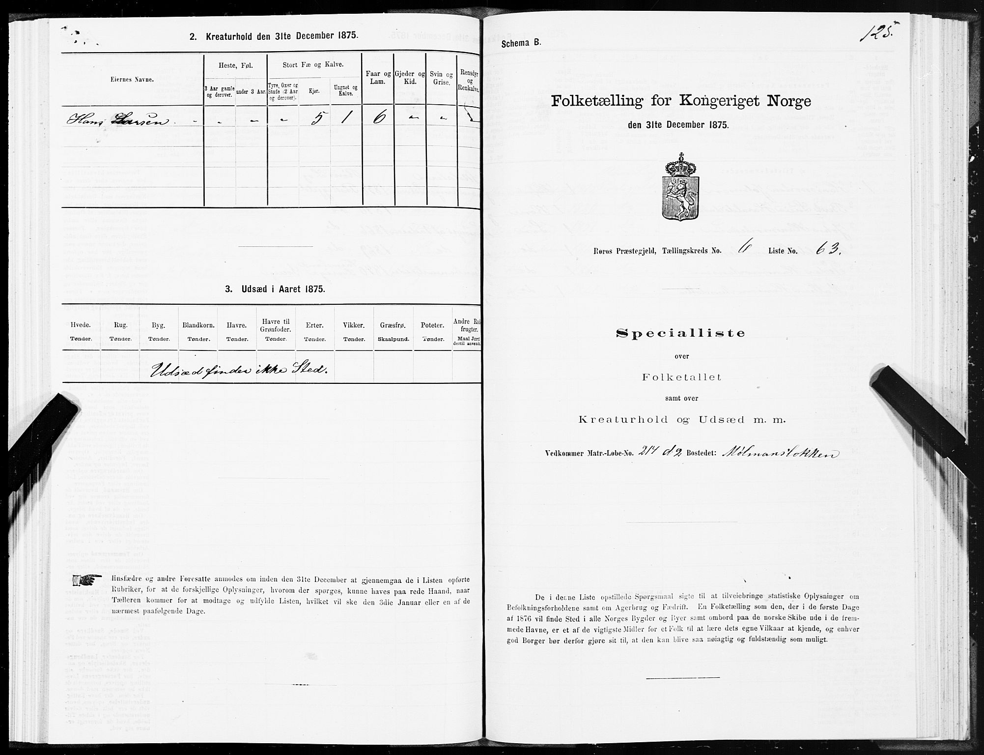 SAT, Folketelling 1875 for 1640P Røros prestegjeld, 1875, s. 4125