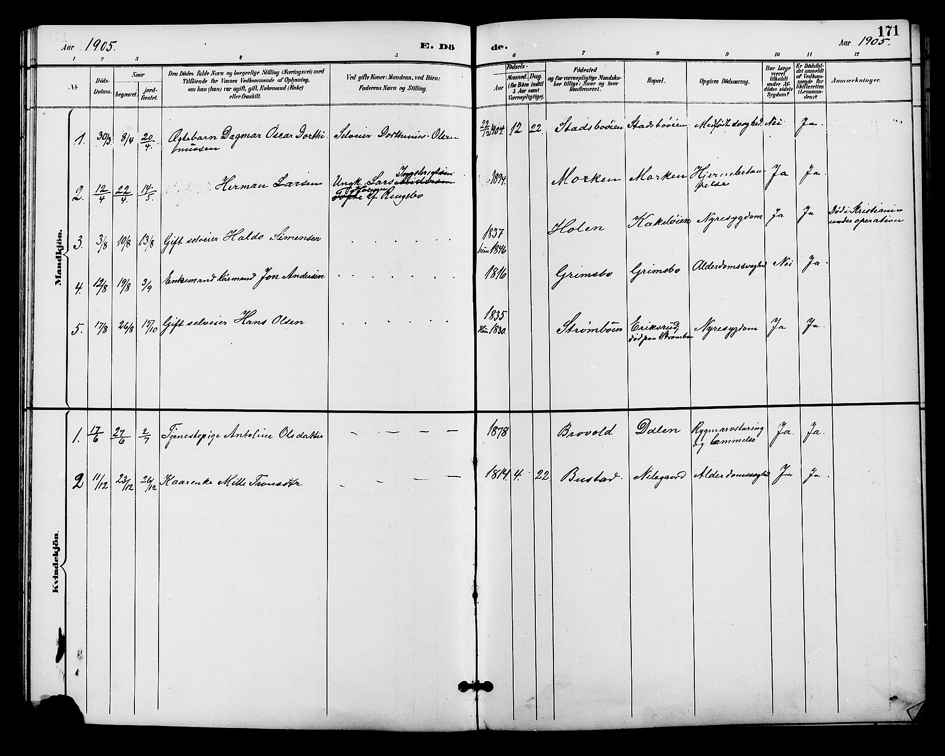 Alvdal prestekontor, SAH/PREST-060/H/Ha/Hab/L0004: Klokkerbok nr. 4, 1894-1910, s. 171