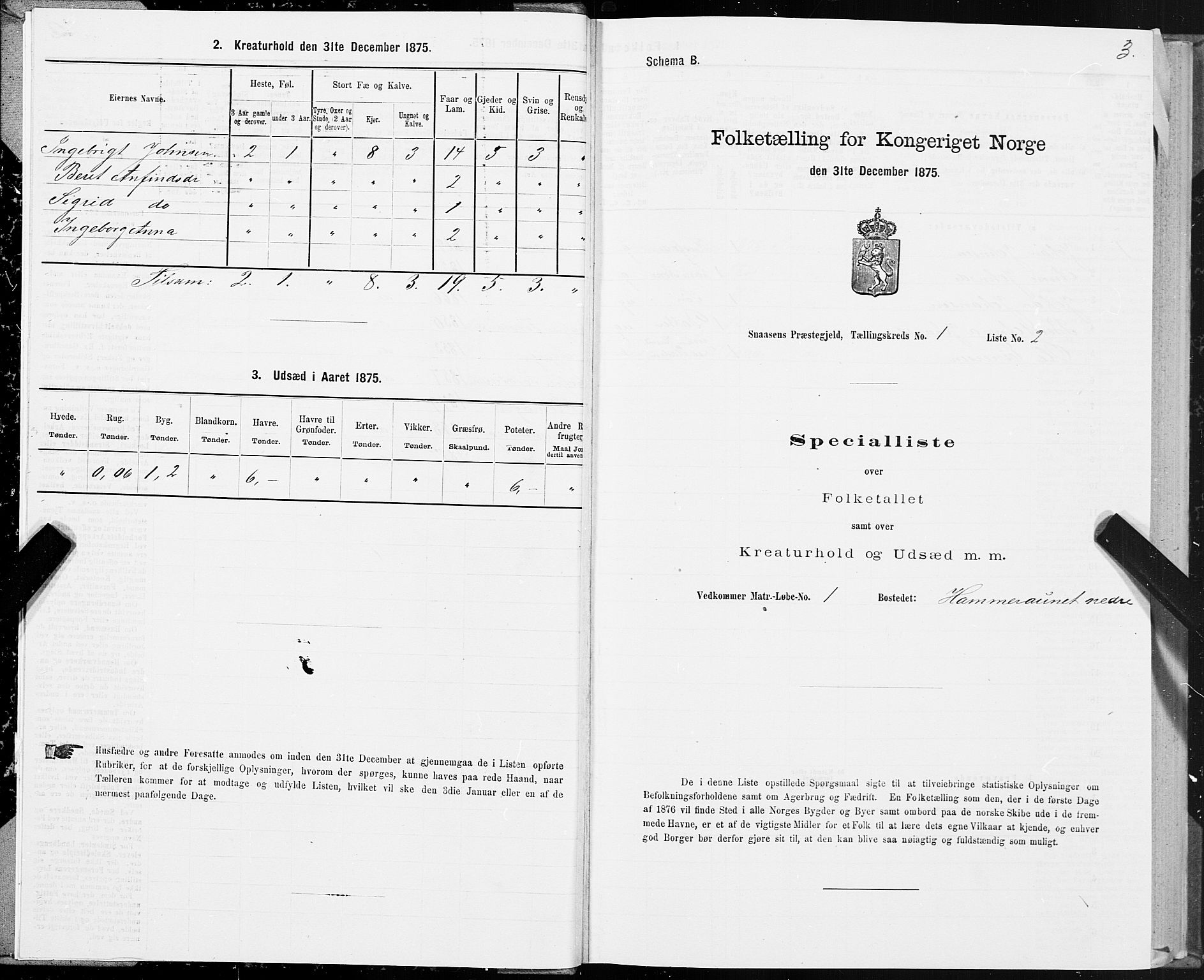 SAT, Folketelling 1875 for 1736P Snåsa prestegjeld, 1875, s. 1003