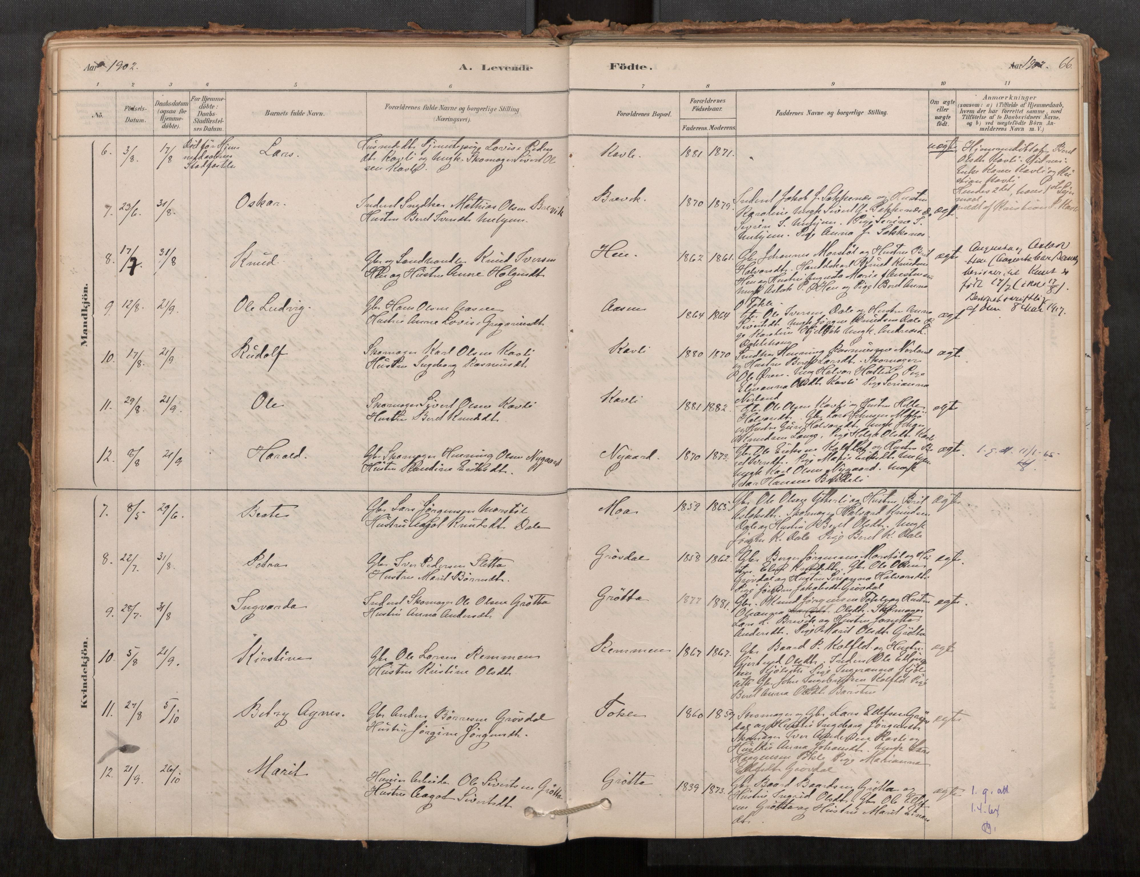 Ministerialprotokoller, klokkerbøker og fødselsregistre - Møre og Romsdal, SAT/A-1454/545/L0594: Ministerialbok nr. 545A03, 1878-1920, s. 66