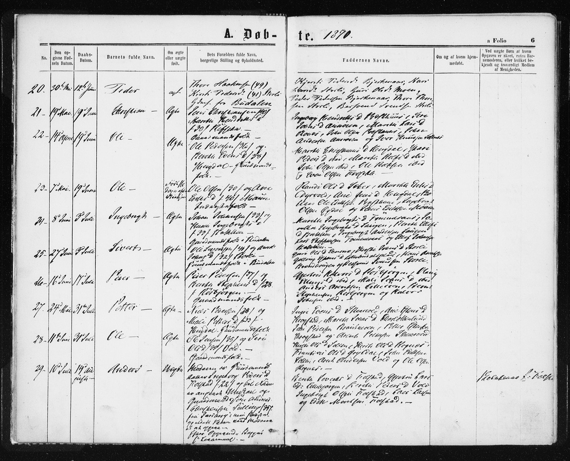 Ministerialprotokoller, klokkerbøker og fødselsregistre - Sør-Trøndelag, SAT/A-1456/687/L1001: Ministerialbok nr. 687A07, 1863-1878, s. 6