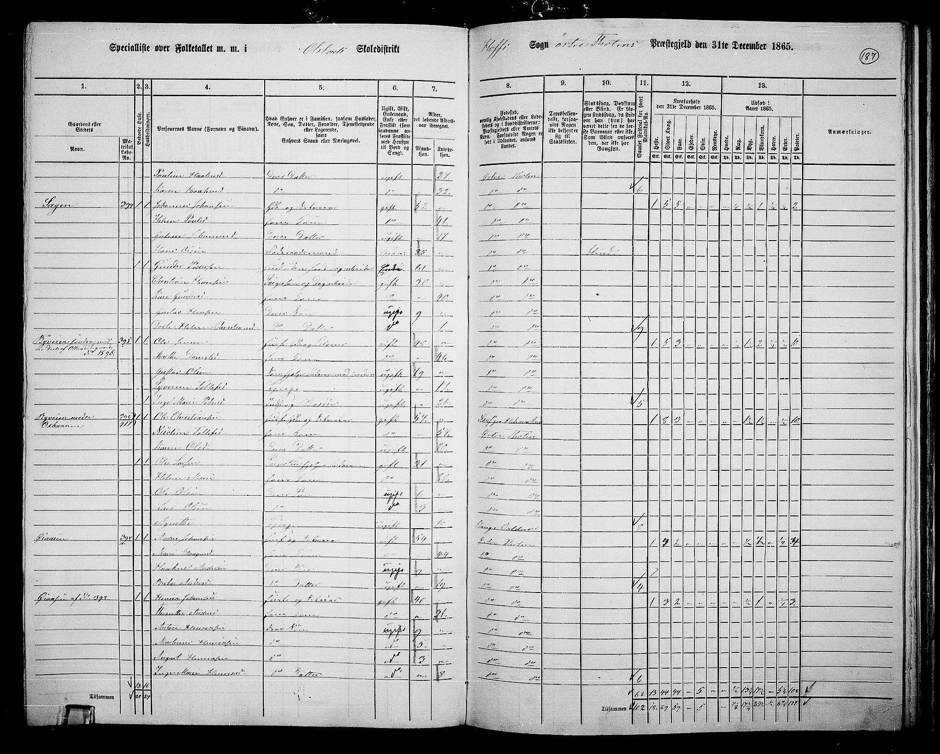 RA, Folketelling 1865 for 0528P Østre Toten prestegjeld, 1865, s. 299