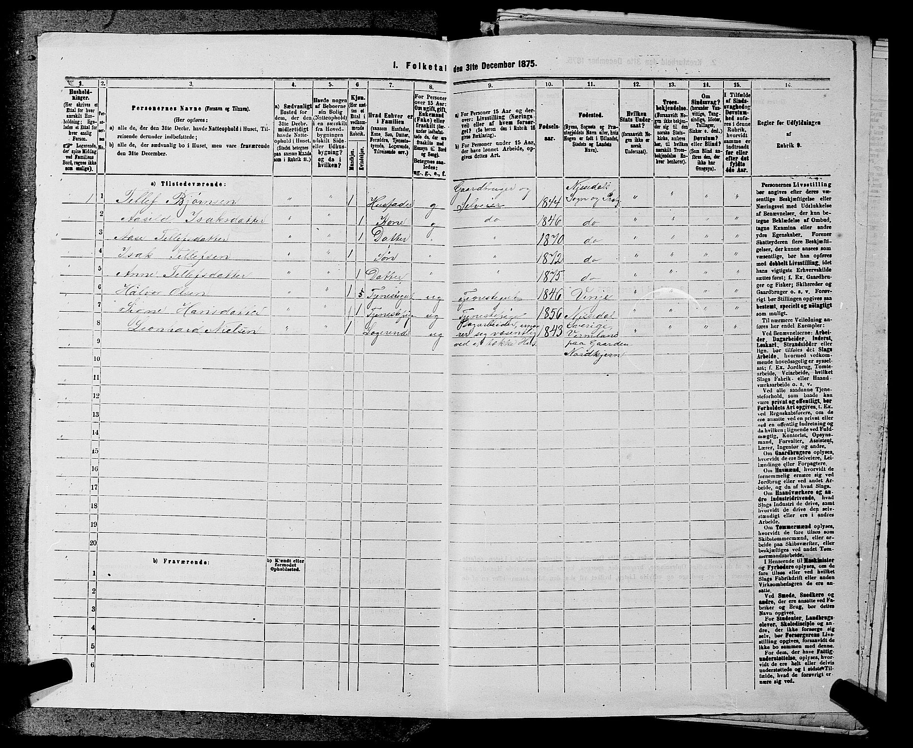 SAKO, Folketelling 1875 for 0830P Nissedal prestegjeld, 1875, s. 348