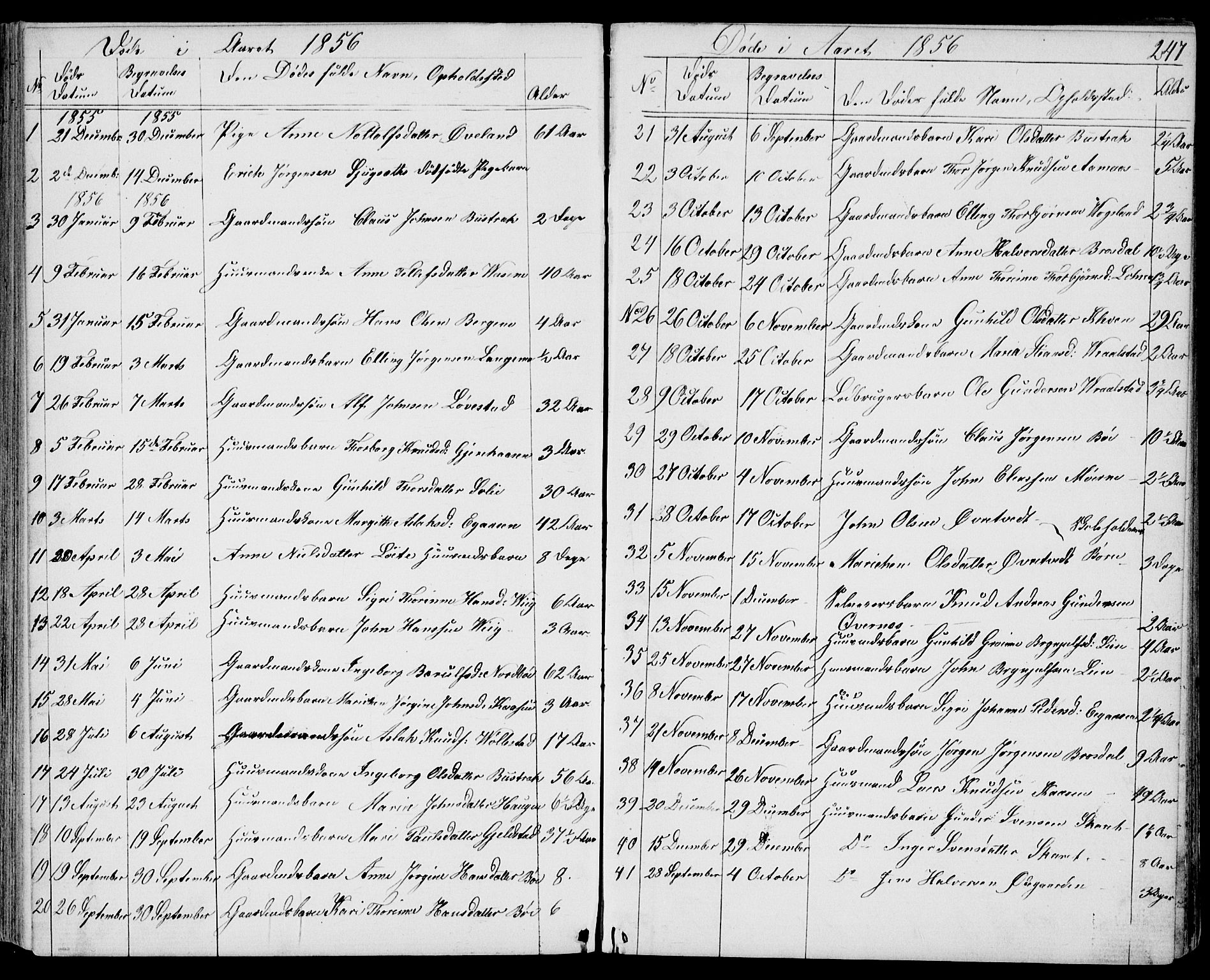 Drangedal kirkebøker, AV/SAKO-A-258/G/Gb/L0001: Klokkerbok nr. II 1, 1856-1894, s. 247