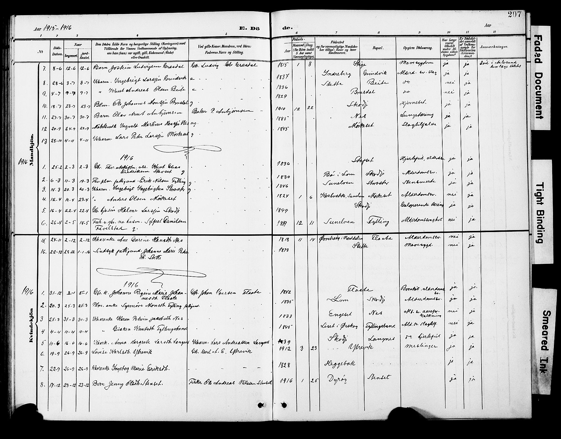 Ministerialprotokoller, klokkerbøker og fødselsregistre - Møre og Romsdal, SAT/A-1454/524/L0366: Klokkerbok nr. 524C07, 1900-1931, s. 207