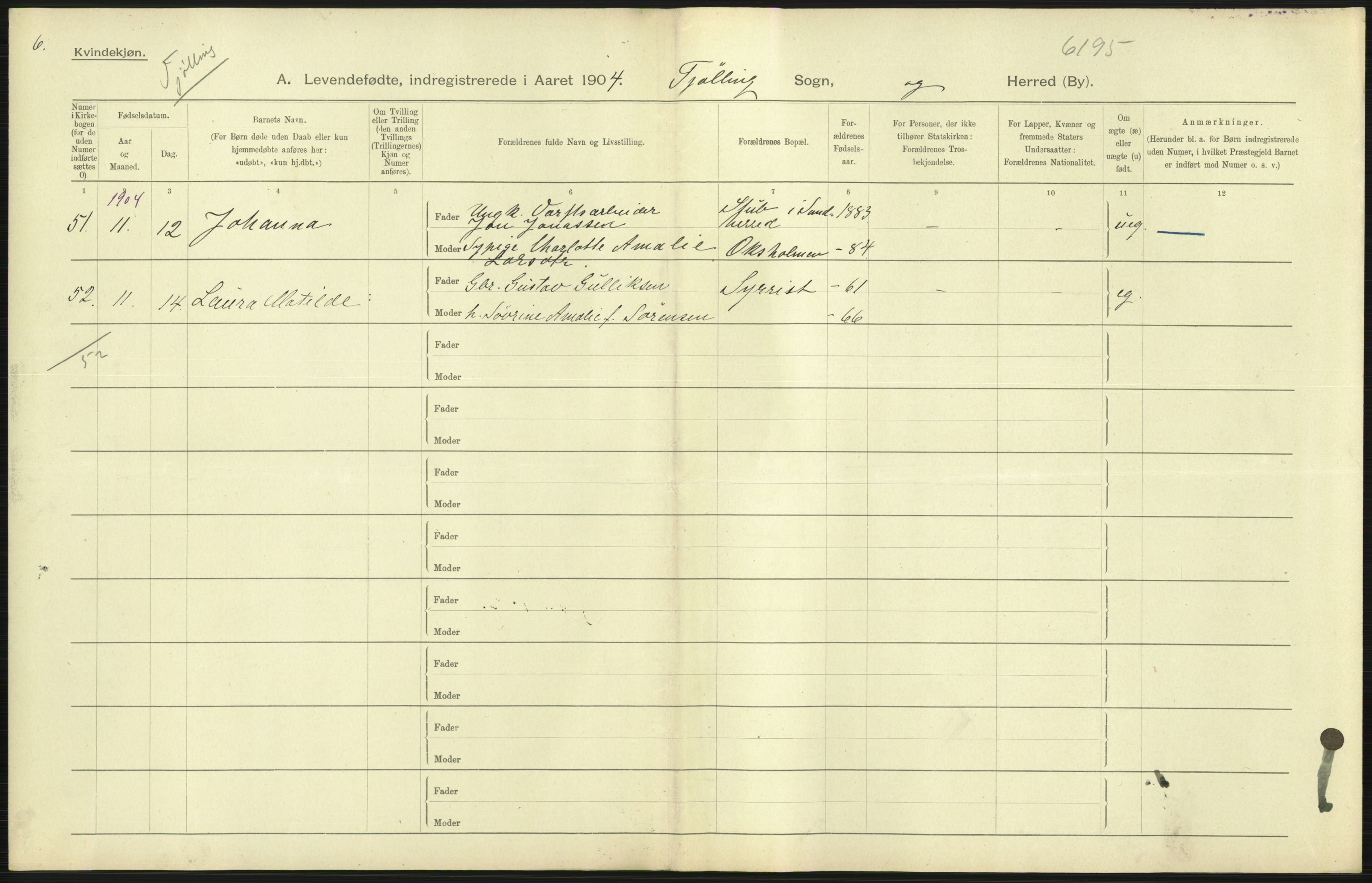 Statistisk sentralbyrå, Sosiodemografiske emner, Befolkning, AV/RA-S-2228/D/Df/Dfa/Dfab/L0008: Jarlsberg og Larvig amt: Fødte, gifte, døde, 1904, s. 65
