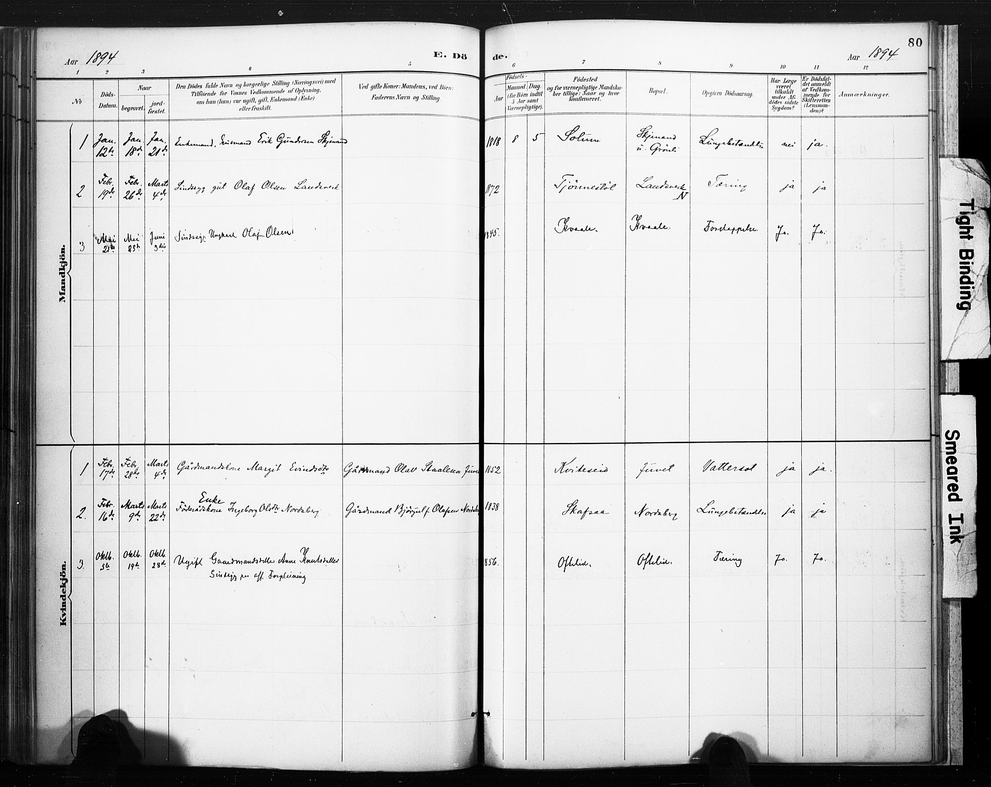 Lårdal kirkebøker, AV/SAKO-A-284/F/Fc/L0002: Ministerialbok nr. III 2, 1887-1906, s. 80