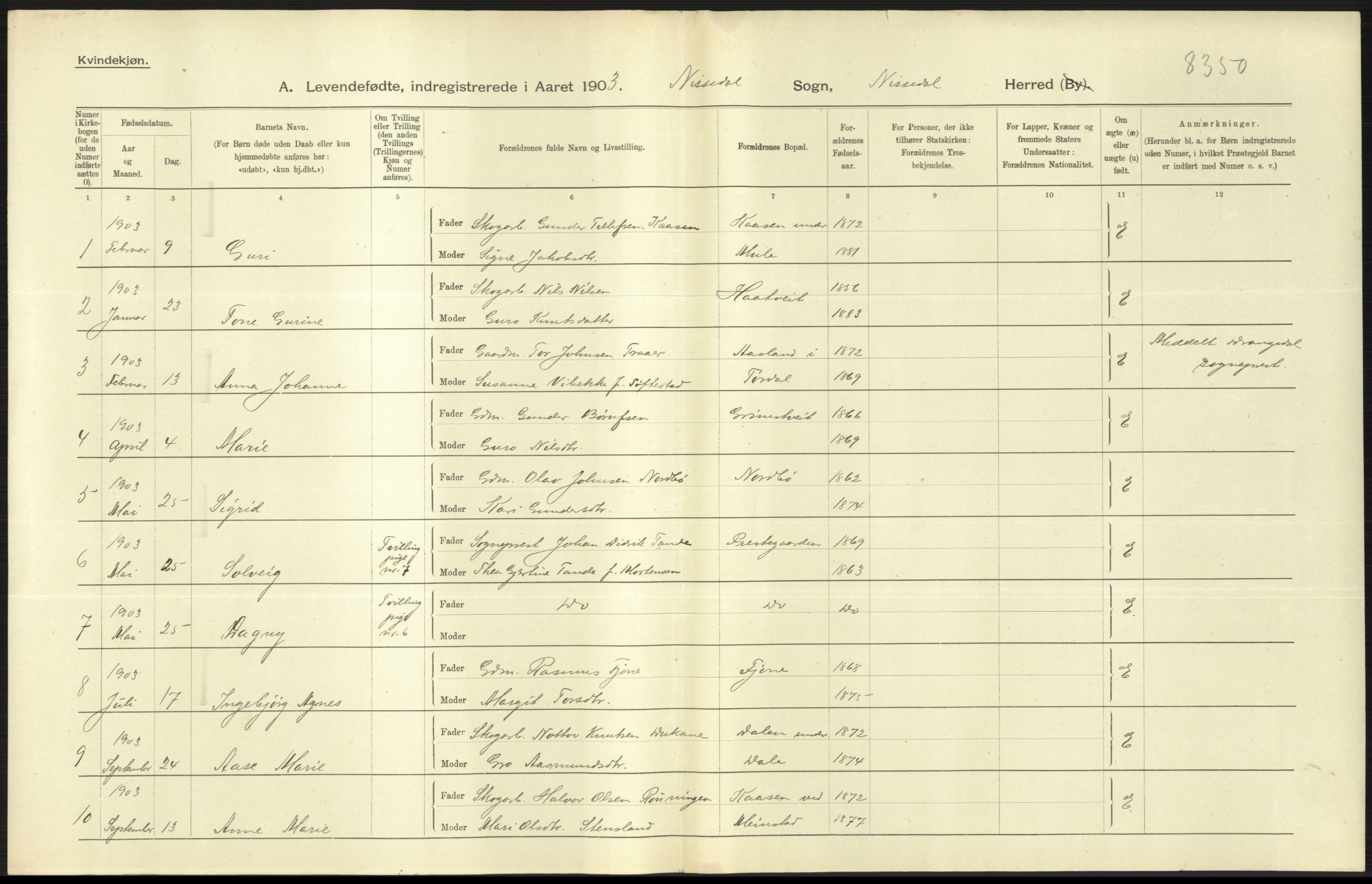 Statistisk sentralbyrå, Sosiodemografiske emner, Befolkning, RA/S-2228/D/Df/Dfa/Dfaa/L0009: Bratsberg amt: Fødte, gifte, døde, 1903, s. 43