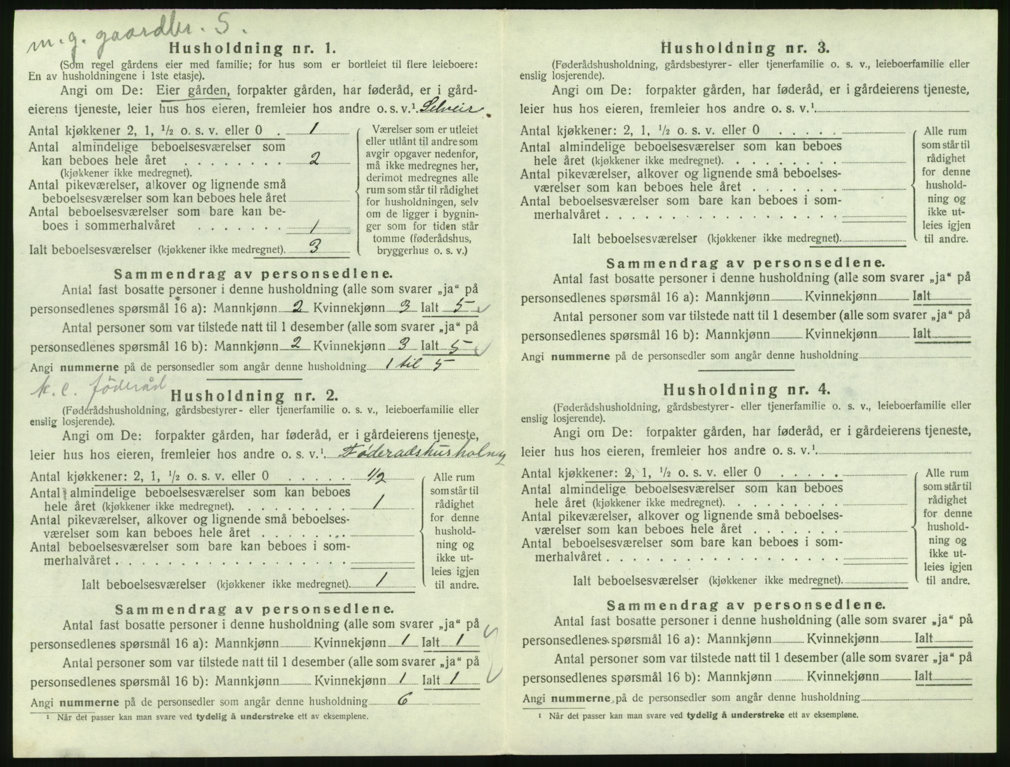 SAT, Folketelling 1920 for 1529 Skodje herred, 1920, s. 524