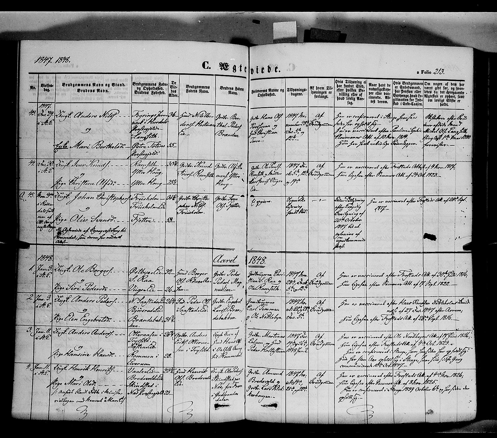Stange prestekontor, AV/SAH-PREST-002/K/L0011: Ministerialbok nr. 11, 1846-1852, s. 213