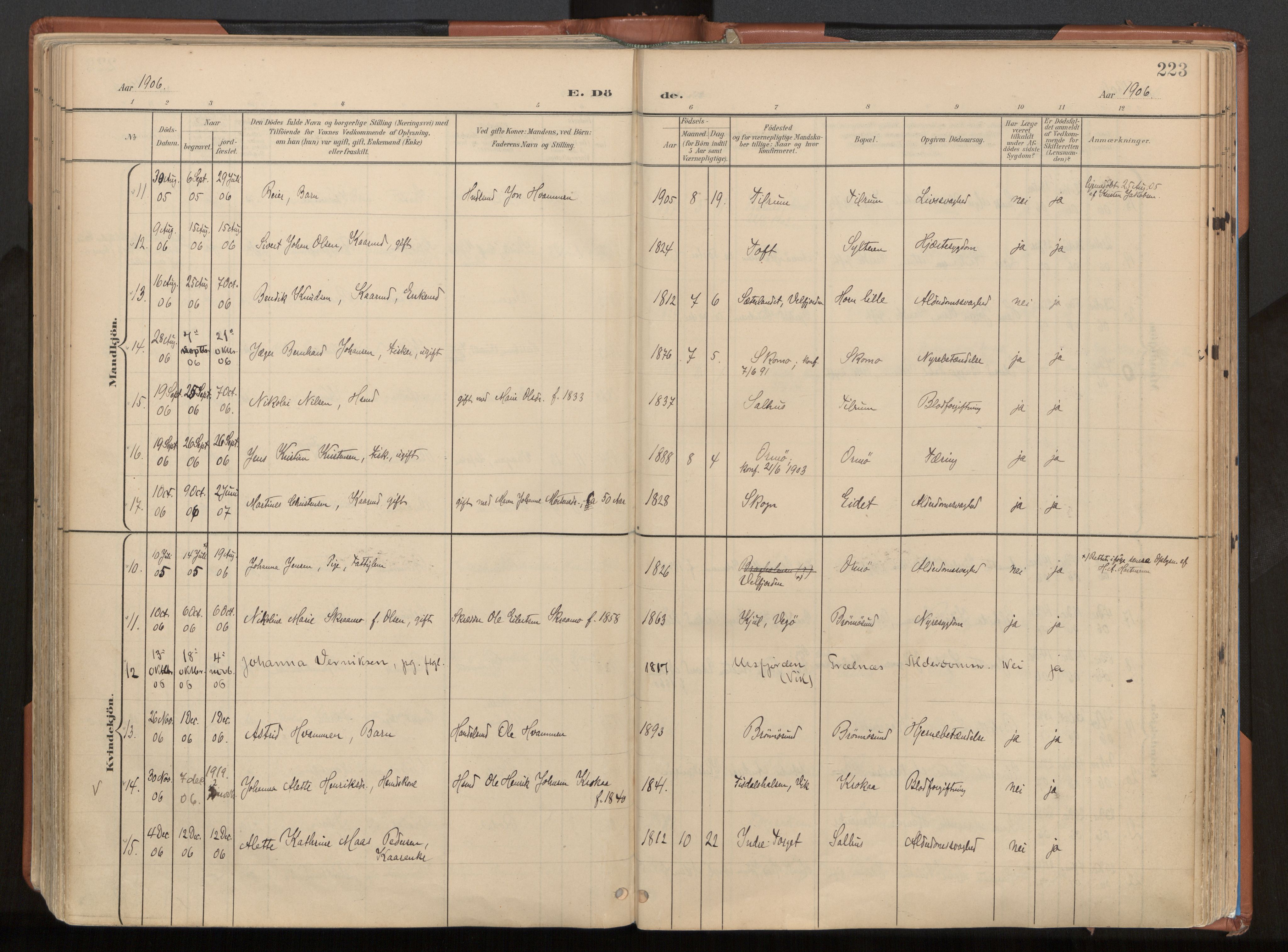 Ministerialprotokoller, klokkerbøker og fødselsregistre - Nordland, AV/SAT-A-1459/813/L0201: Ministerialbok nr. 813A11, 1901-1918, s. 223