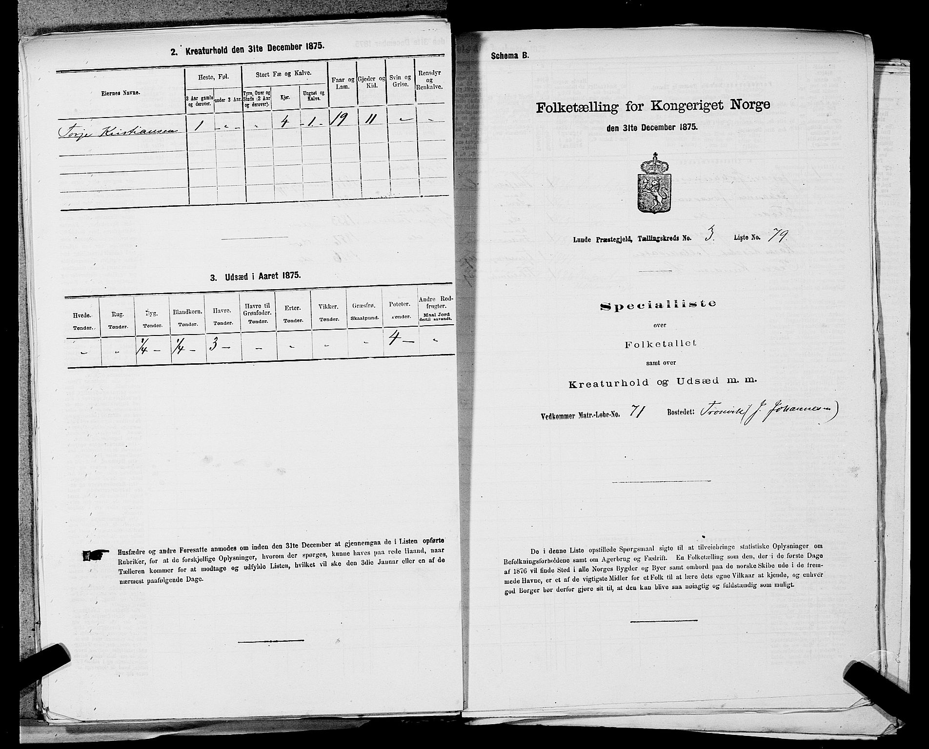 SAST, Folketelling 1875 for 1112P Lund prestegjeld, 1875, s. 320