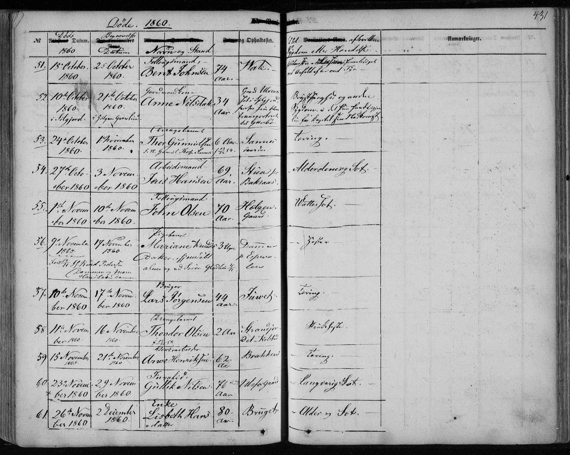Holla kirkebøker, AV/SAKO-A-272/F/Fa/L0005: Ministerialbok nr. 5, 1849-1860, s. 431