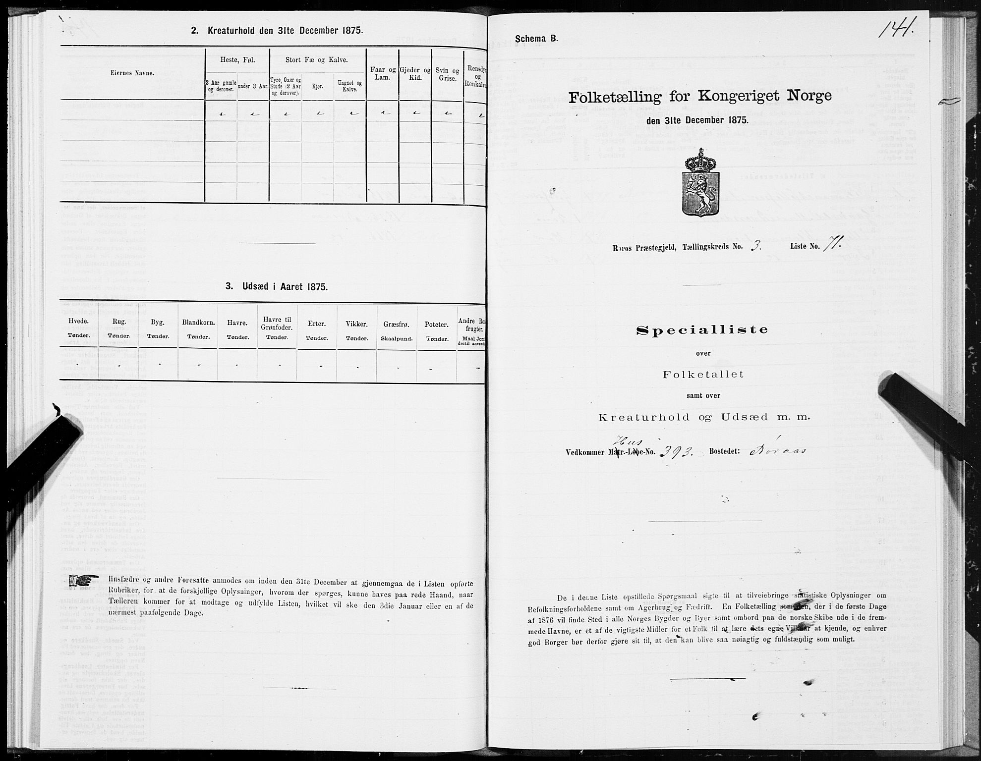 SAT, Folketelling 1875 for 1640P Røros prestegjeld, 1875, s. 2141