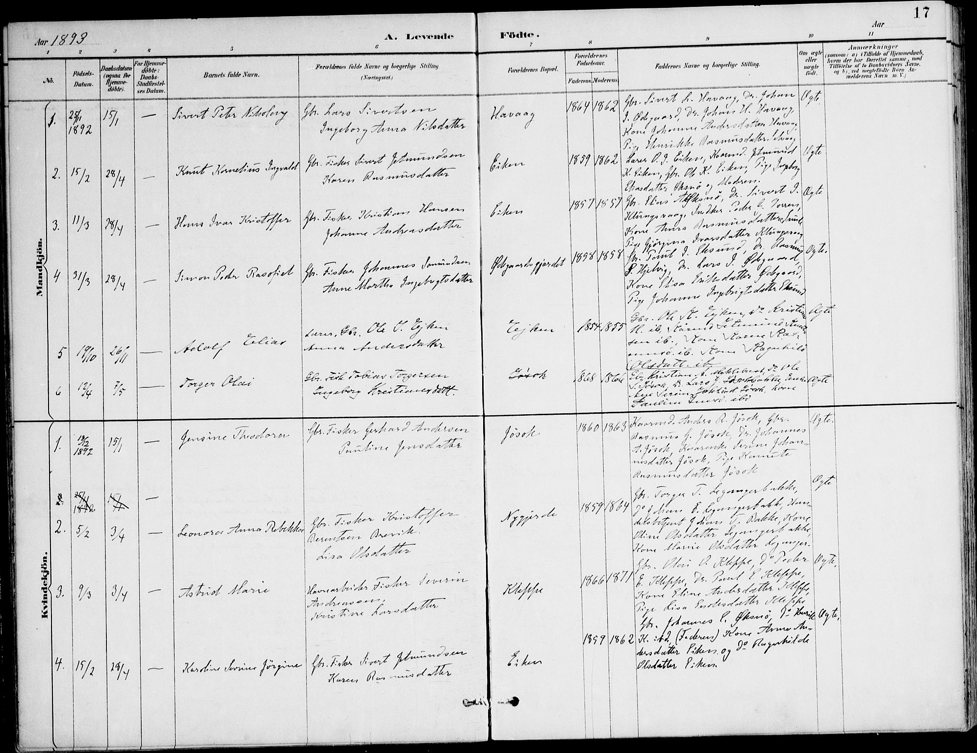 Ministerialprotokoller, klokkerbøker og fødselsregistre - Møre og Romsdal, AV/SAT-A-1454/508/L0095: Ministerialbok nr. 508A02, 1887-1920, s. 17