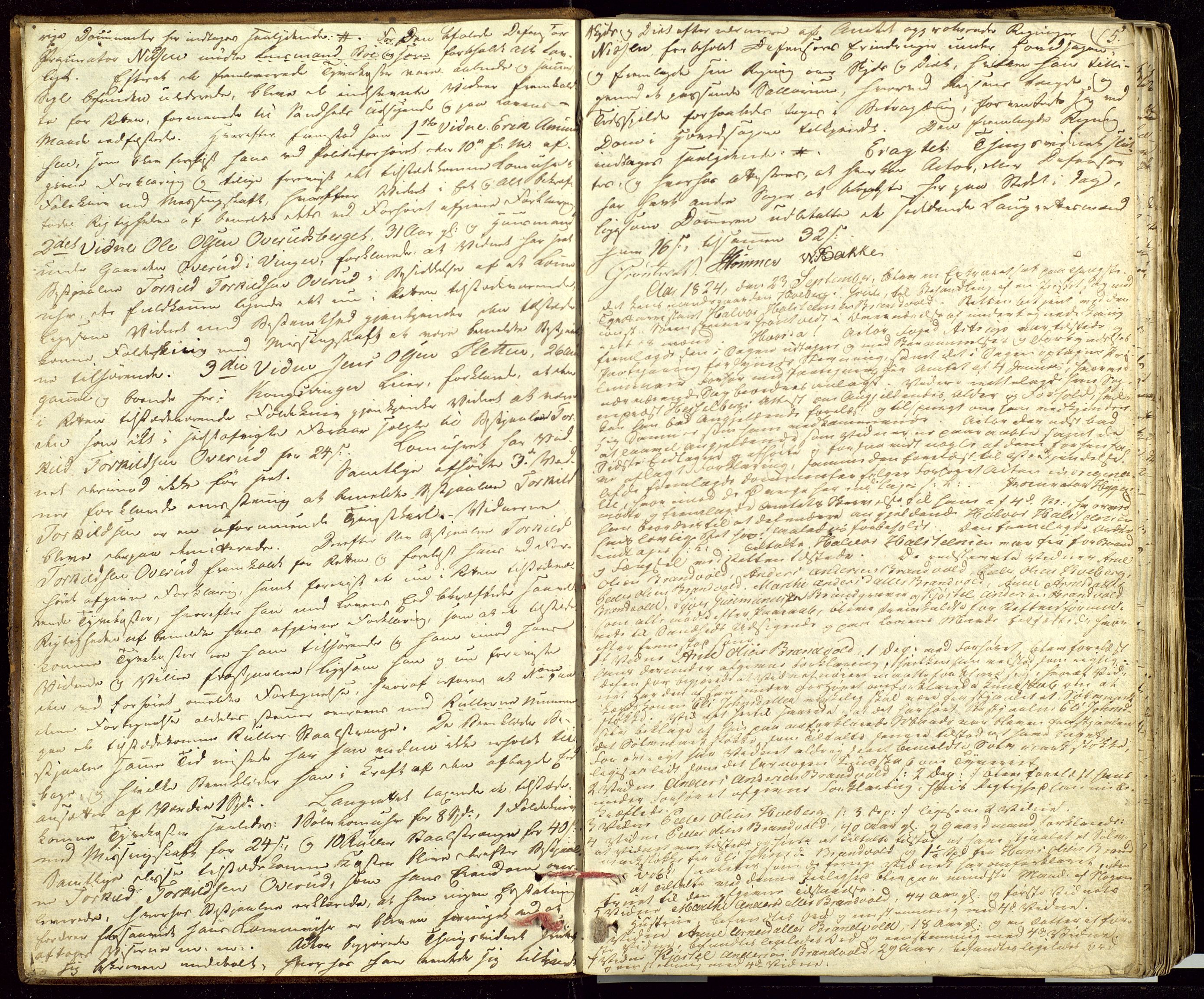 Solør og Odalen sorenskriveri, AV/SAH-TING-026/G/Gc/Gca/L0014: Justis- og politisaker, 1824-1827, s. 5