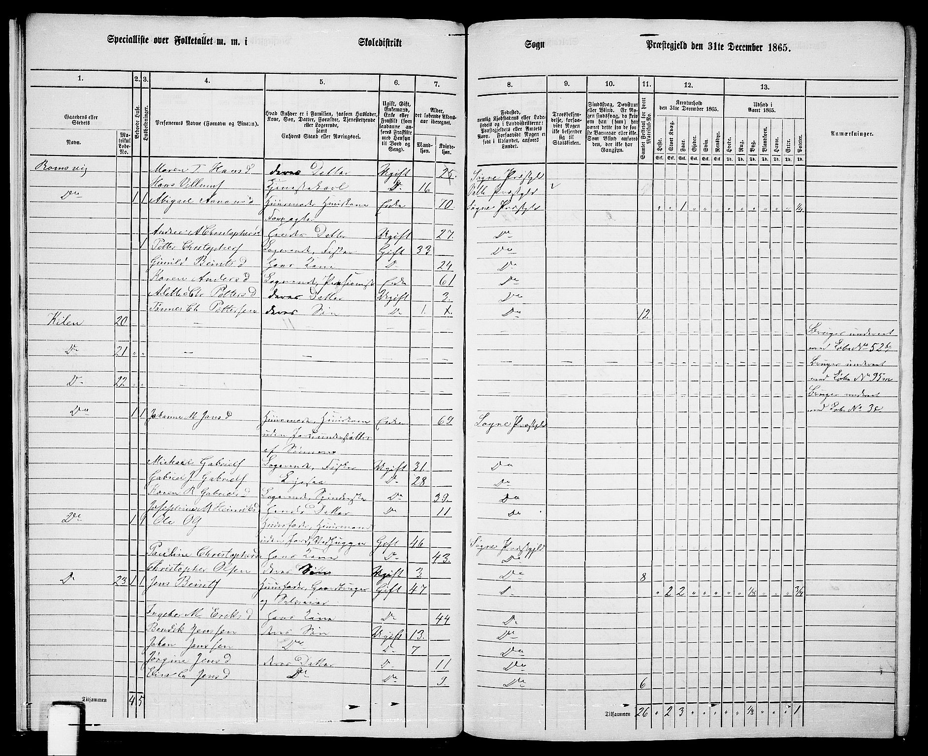 RA, Folketelling 1865 for 1018P Søgne prestegjeld, 1865, s. 21