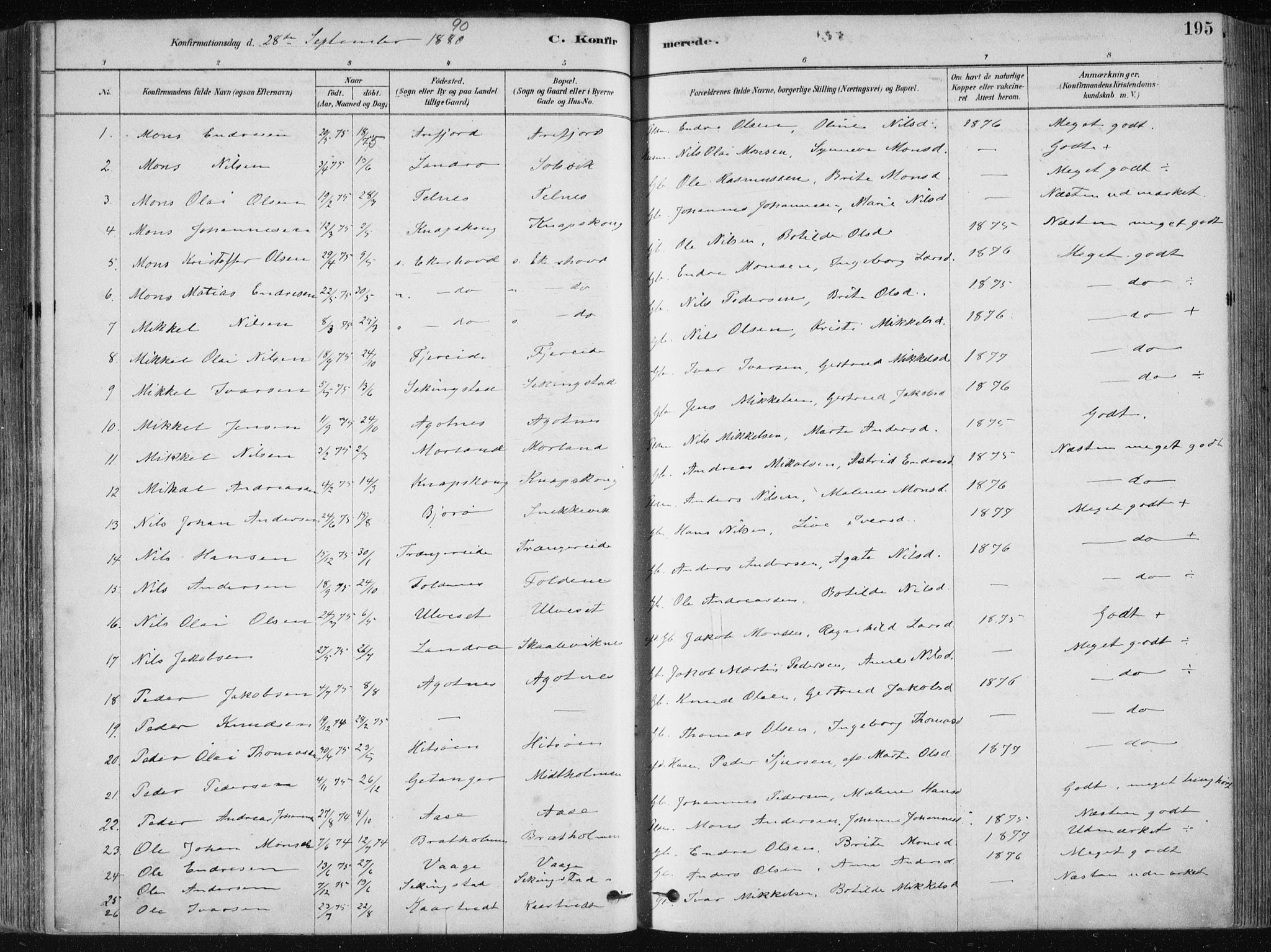 Fjell sokneprestembete, AV/SAB-A-75301/H/Haa: Ministerialbok nr. A  8, 1878-1898, s. 195
