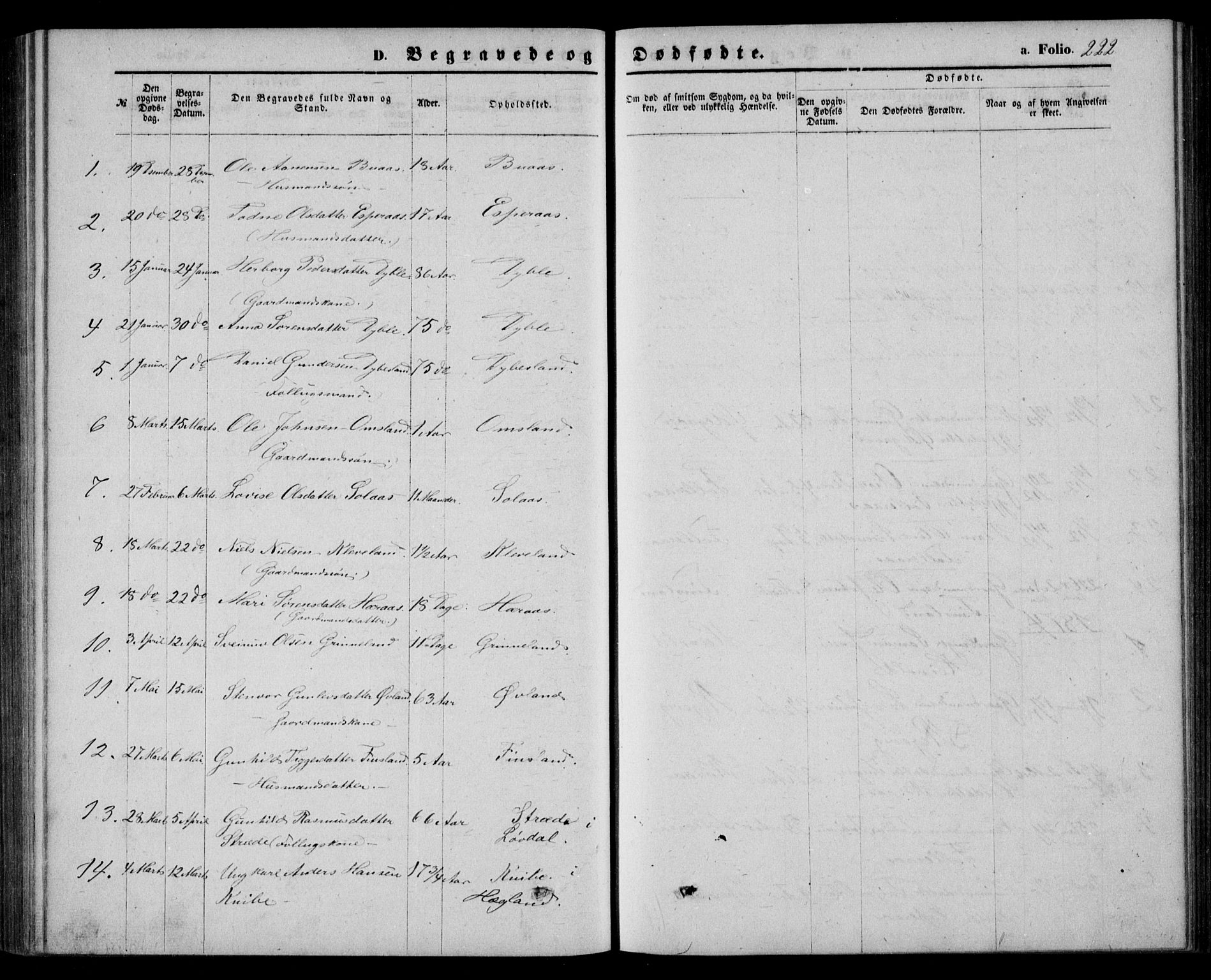 Bjelland sokneprestkontor, AV/SAK-1111-0005/F/Fb/Fbb/L0004: Klokkerbok nr. B 4, 1867-1887, s. 222