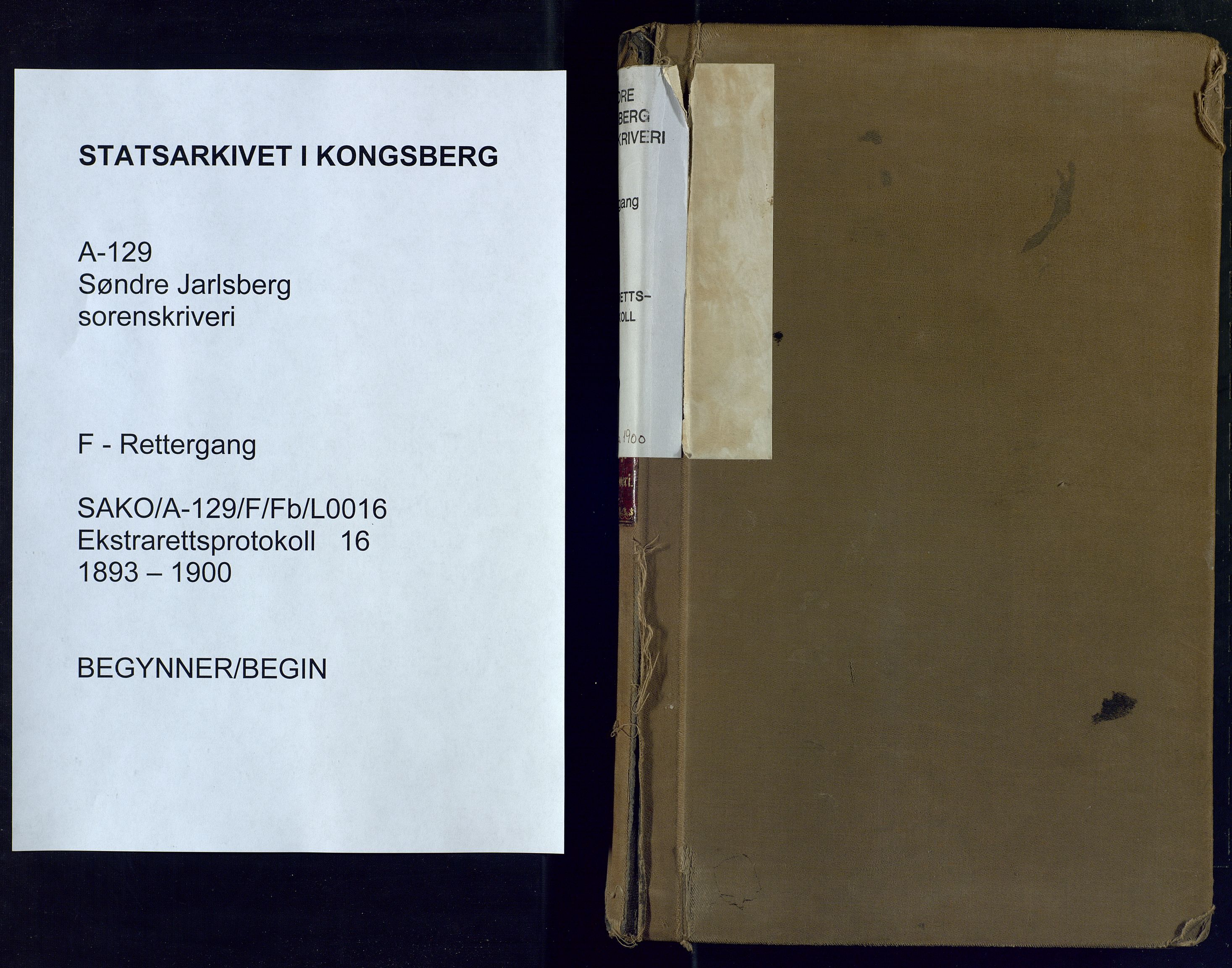 Søndre Jarlsberg sorenskriveri, SAKO/A-129/F/Fb/L0016: Ekstrarettsprotokoll, 1893-1900