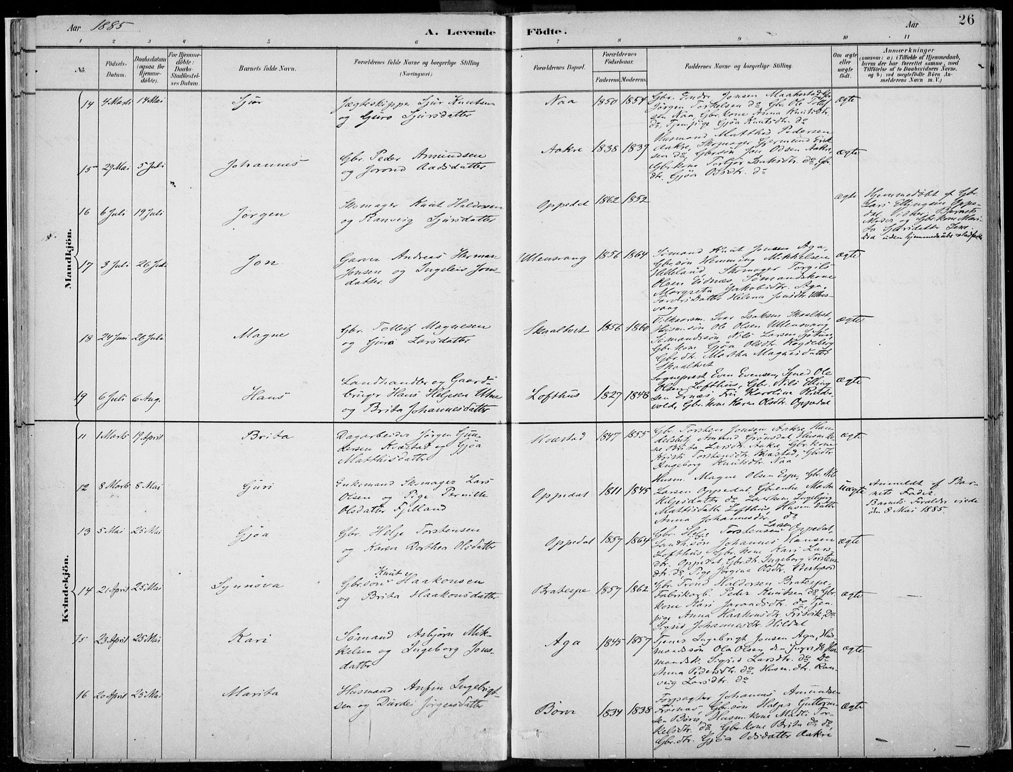 Ullensvang sokneprestembete, AV/SAB-A-78701/H/Haa: Ministerialbok nr. B  1, 1882-1918, s. 26