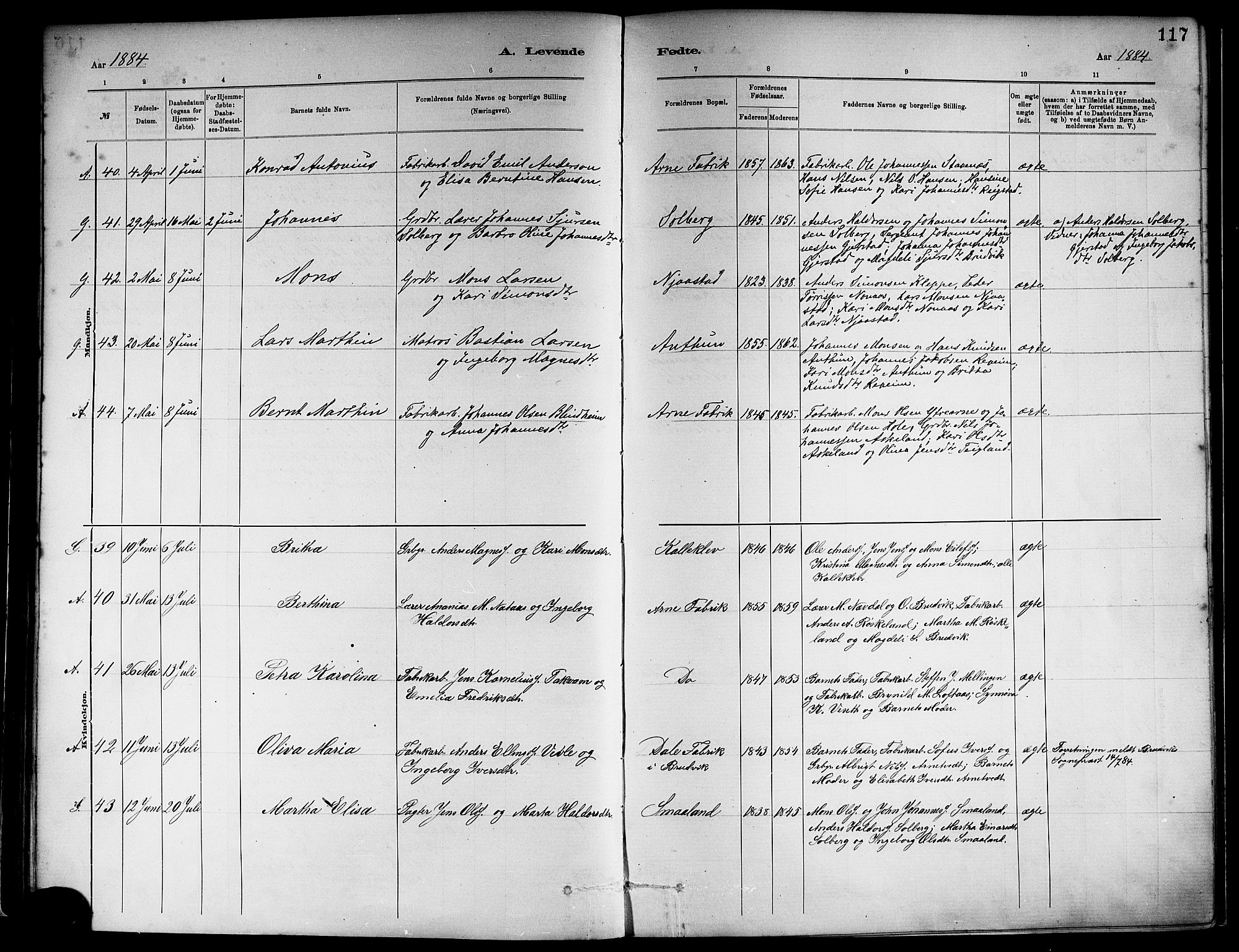Haus sokneprestembete, SAB/A-75601/H/Haa: Ministerialbok nr. A 19I, 1878-1886, s. 117
