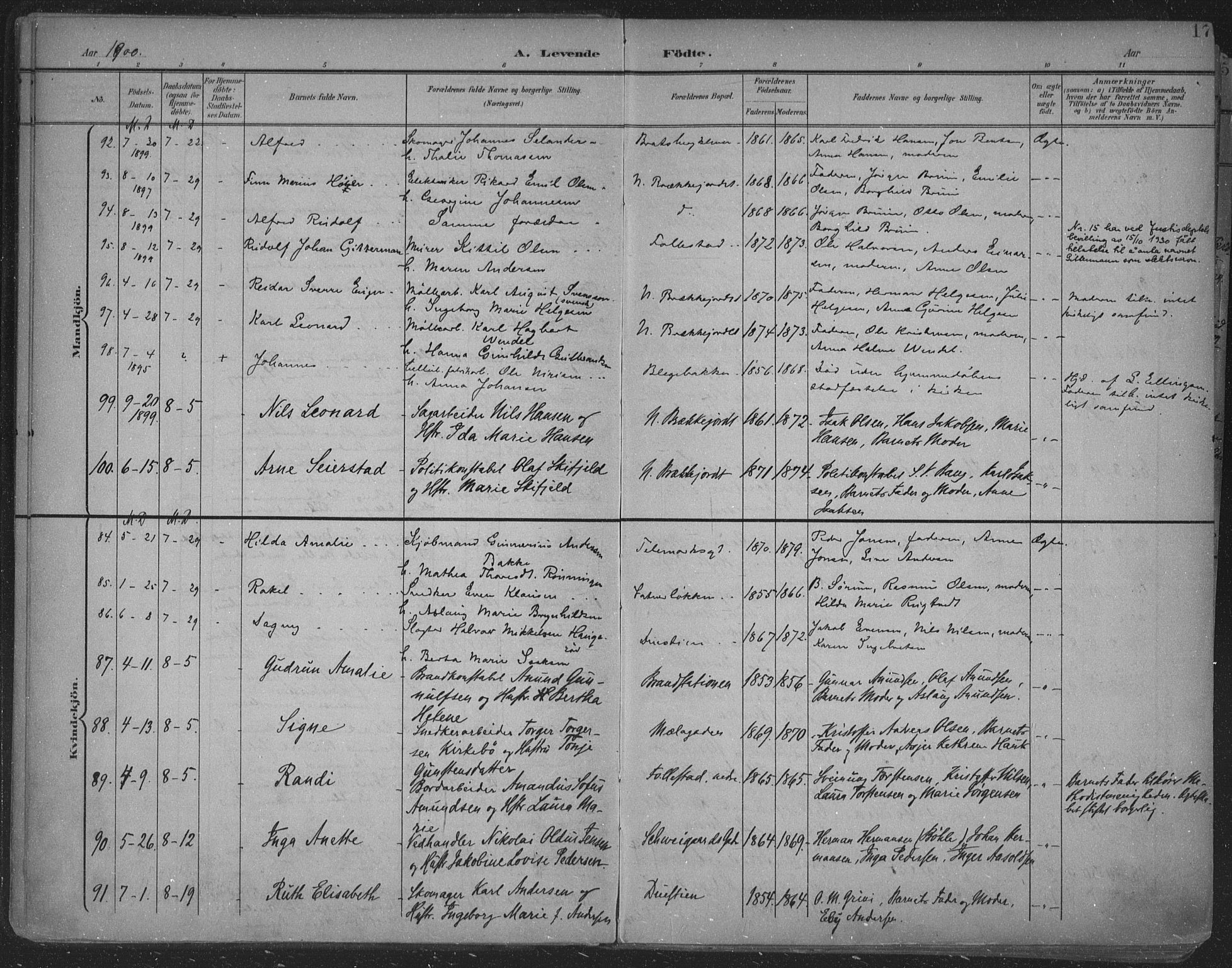 Skien kirkebøker, AV/SAKO-A-302/F/Fa/L0011: Ministerialbok nr. 11, 1900-1907, s. 17