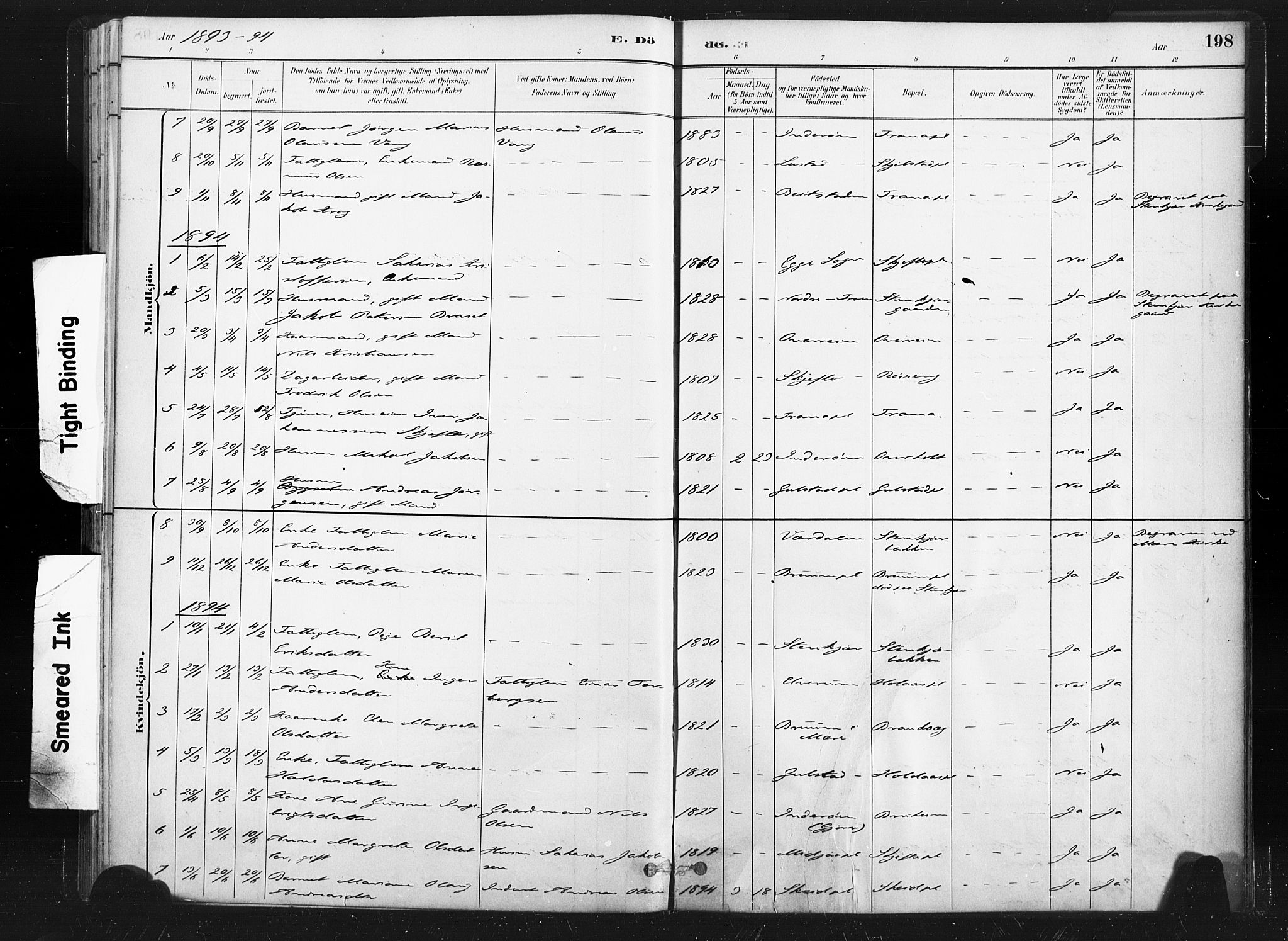 Ministerialprotokoller, klokkerbøker og fødselsregistre - Nord-Trøndelag, SAT/A-1458/736/L0361: Ministerialbok nr. 736A01, 1884-1906, s. 198