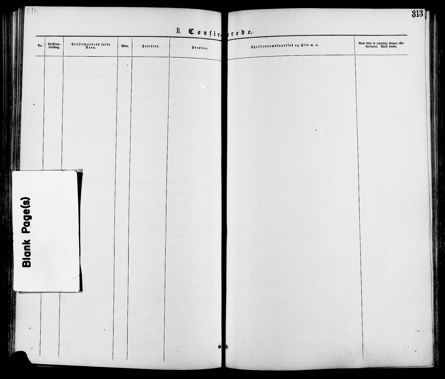 Nord-Fron prestekontor, SAH/PREST-080/H/Ha/Haa/L0002: Ministerialbok nr. 2, 1865-1883, s. 313