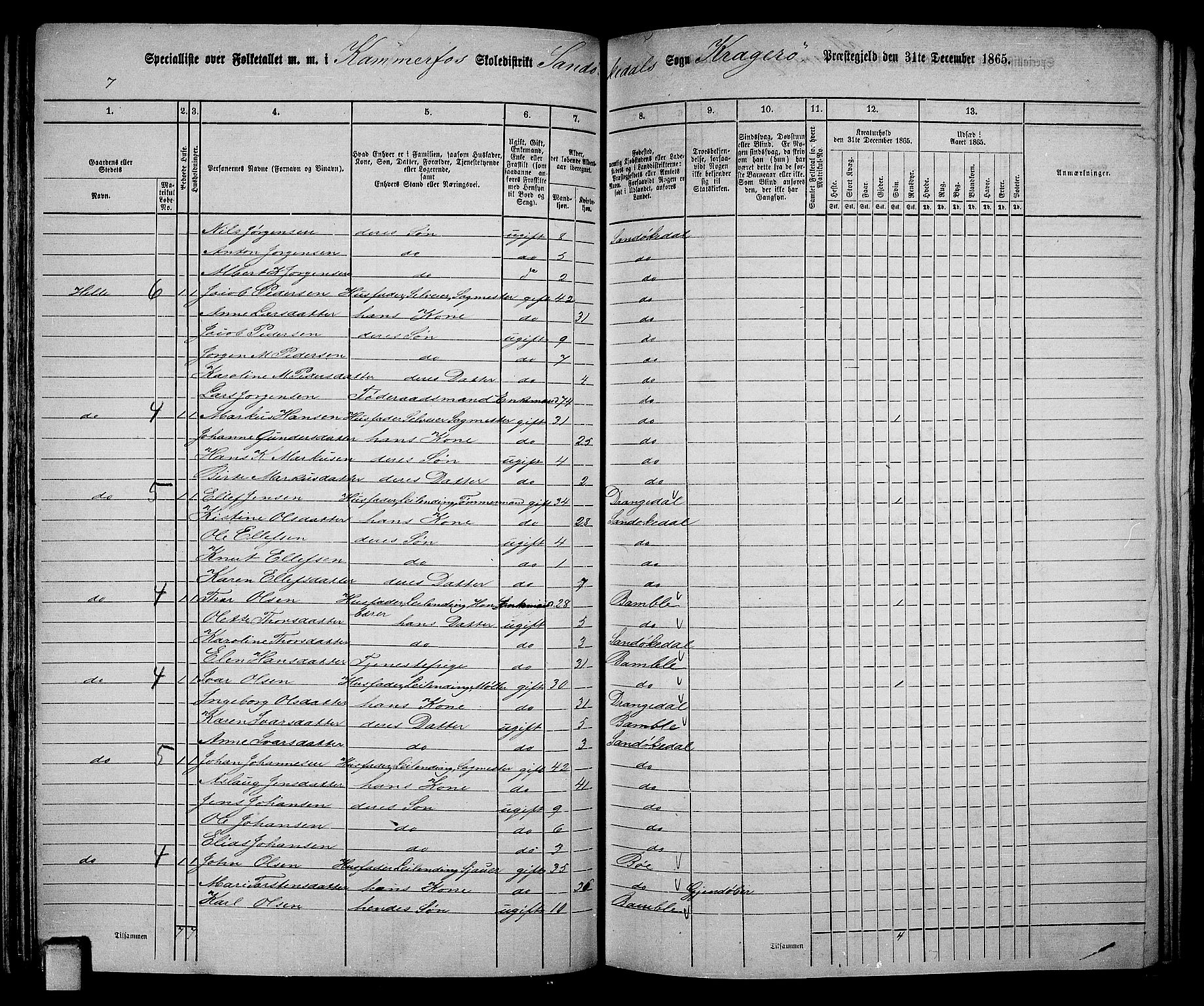 RA, Folketelling 1865 for 0816L Kragerø prestegjeld, Sannidal sokn og Skåtøy sokn, 1865, s. 84