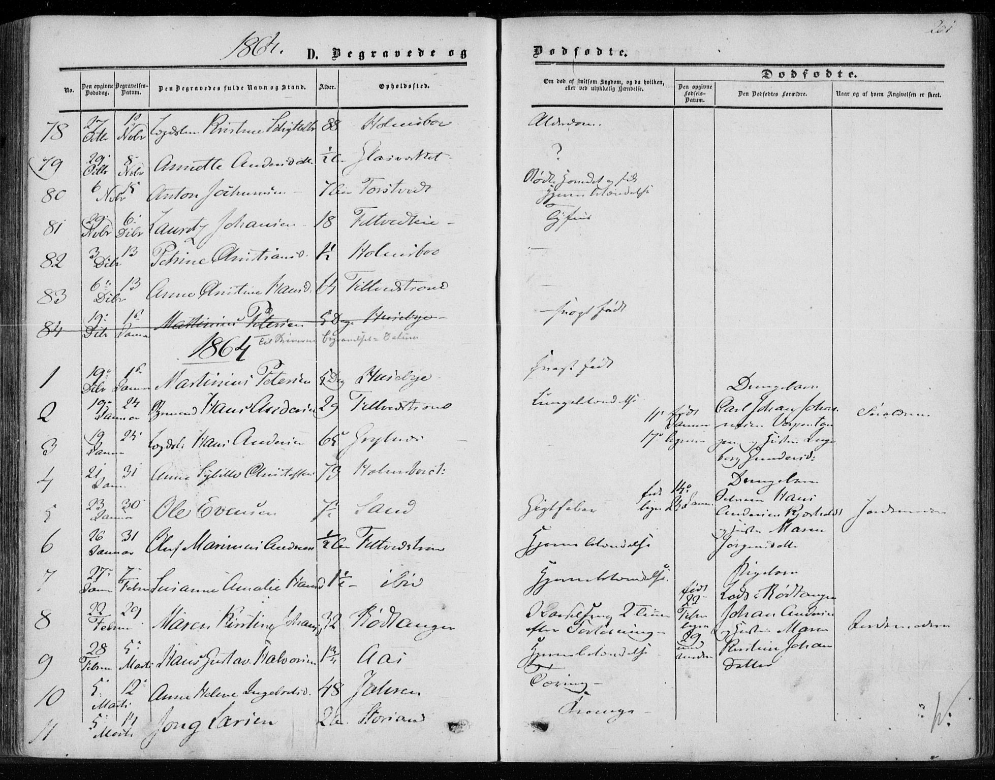 Hurum kirkebøker, AV/SAKO-A-229/F/Fa/L0012: Ministerialbok nr. 12, 1861-1875, s. 201