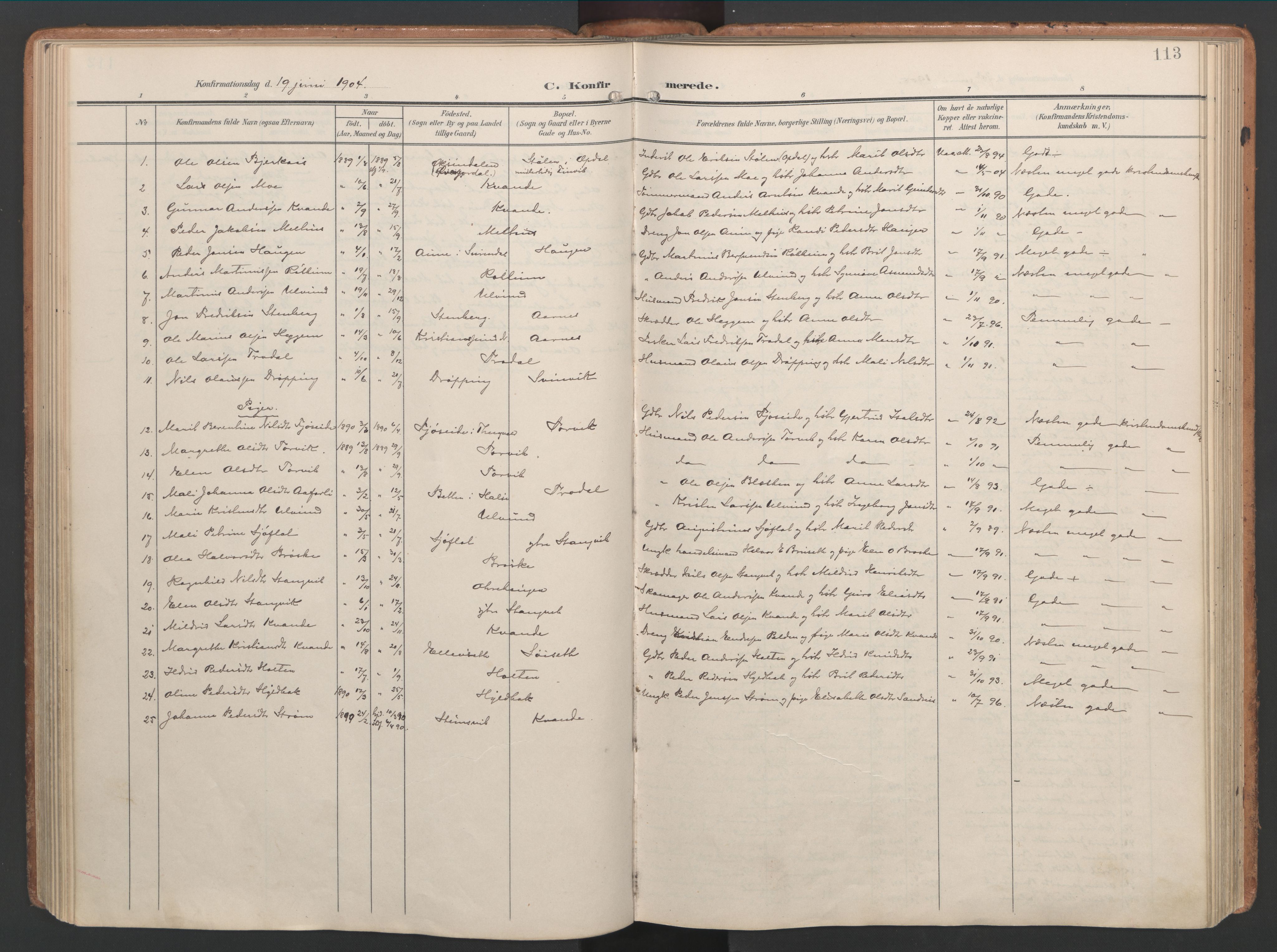 Ministerialprotokoller, klokkerbøker og fødselsregistre - Møre og Romsdal, AV/SAT-A-1454/592/L1030: Ministerialbok nr. 592A08, 1901-1925, s. 113