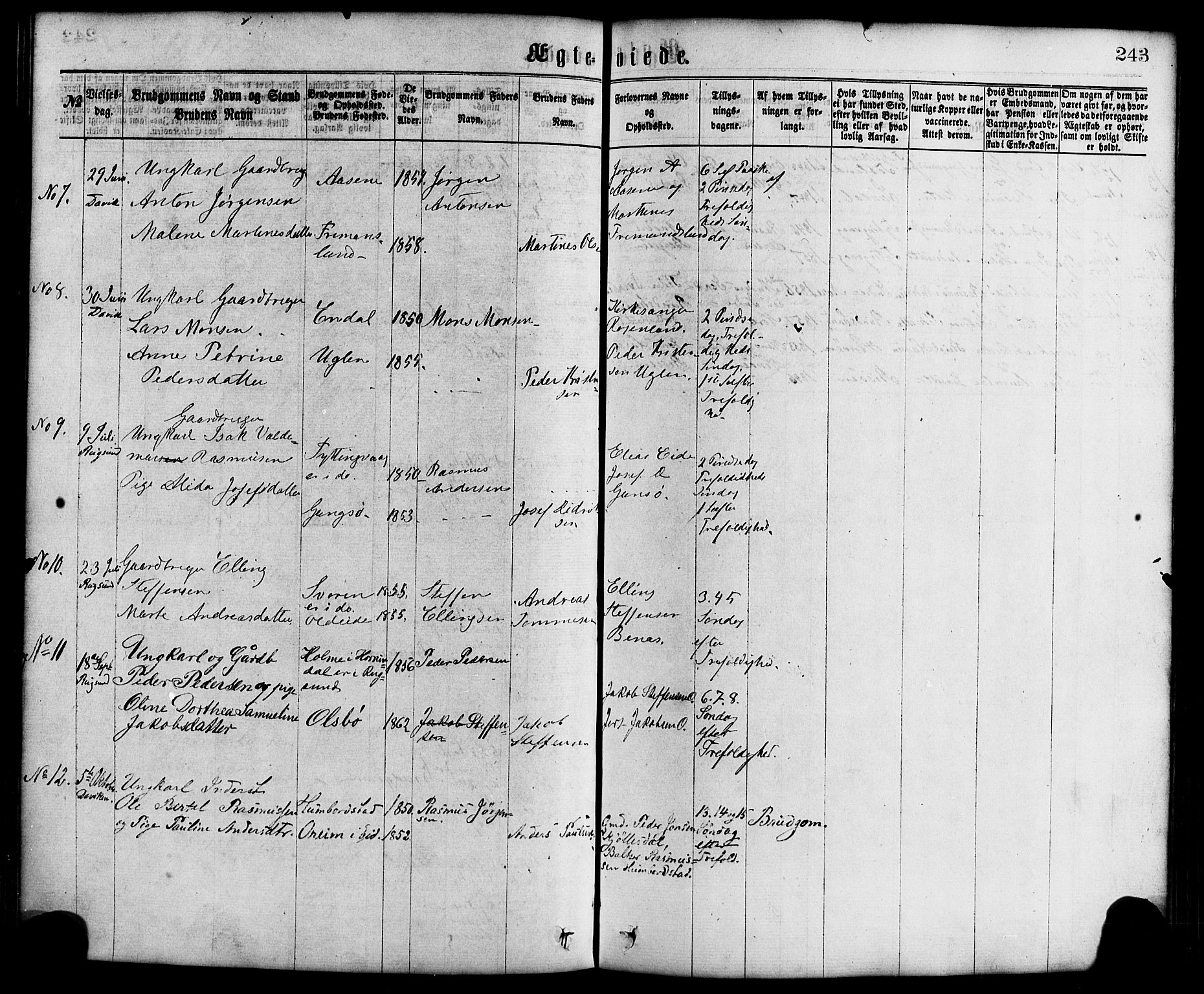 Davik sokneprestembete, AV/SAB-A-79701/H/Haa/Haaa/L0006: Ministerialbok nr. A 6, 1867-1881, s. 243