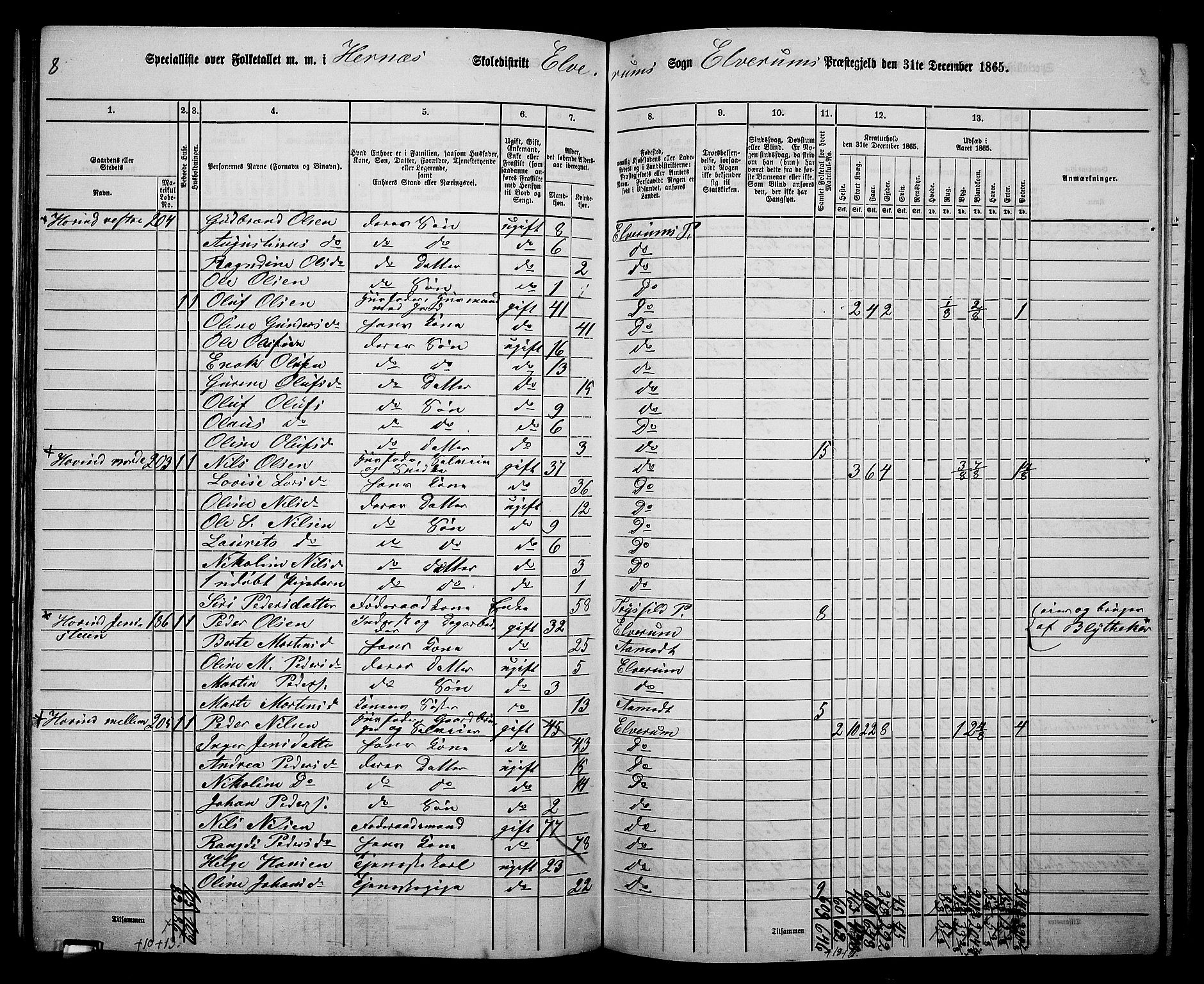 RA, Folketelling 1865 for 0427P Elverum prestegjeld, 1865, s. 174