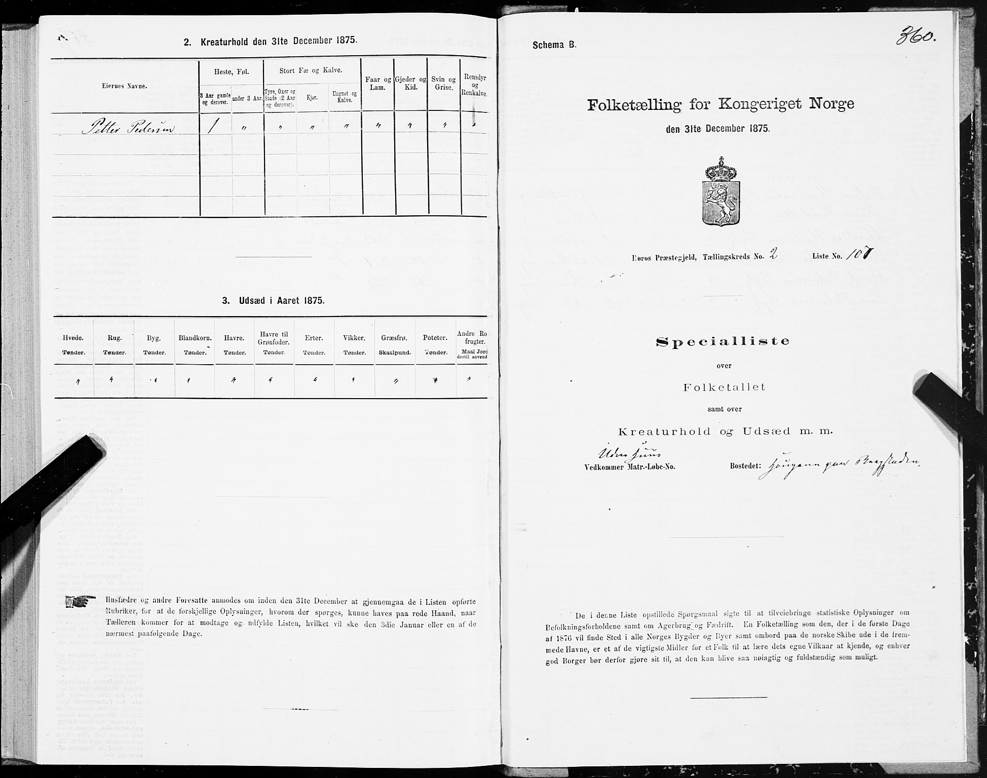 SAT, Folketelling 1875 for 1640P Røros prestegjeld, 1875, s. 1360