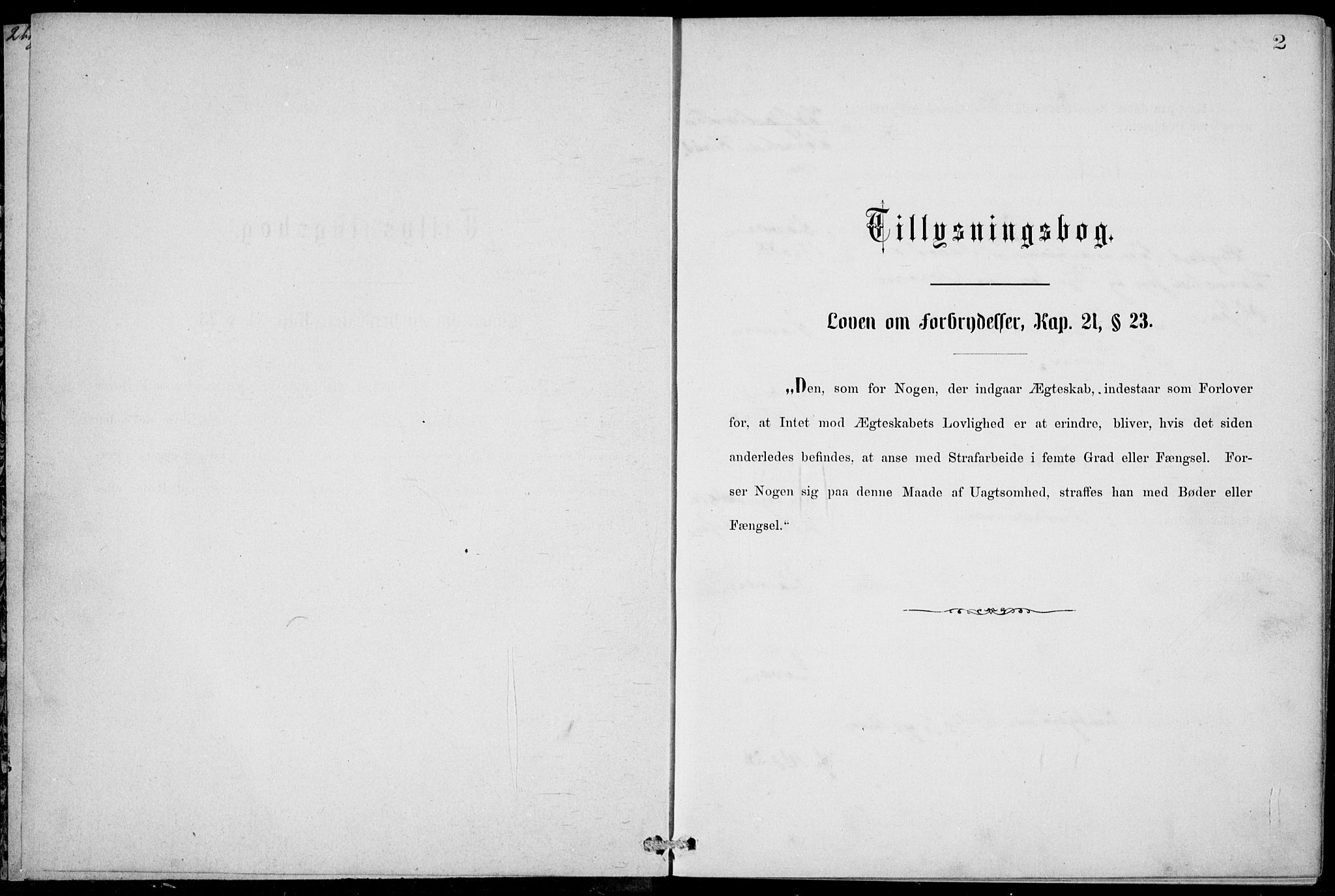 Stavern kirkebøker, SAKO/A-318/H/Ha/L0001: Lysningsprotokoll nr. 1, 1875-1918, s. 2