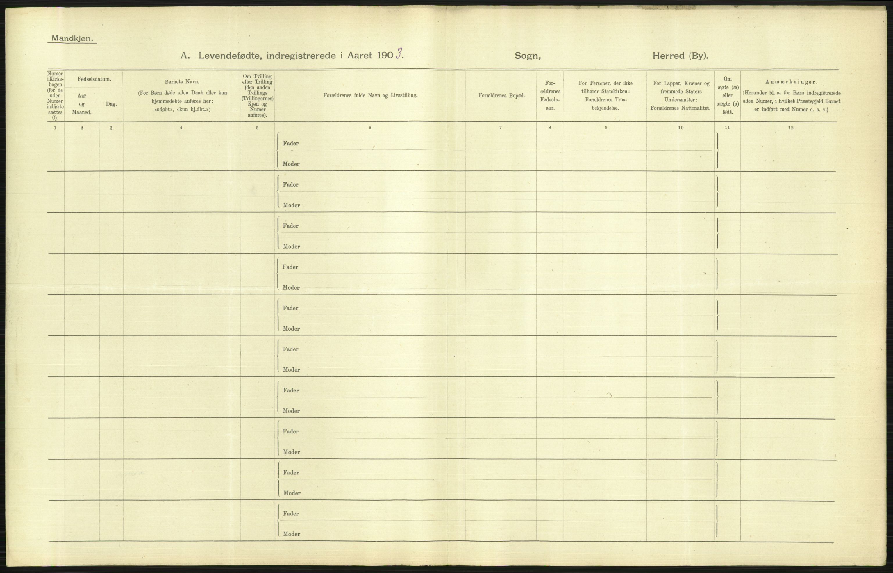 Statistisk sentralbyrå, Sosiodemografiske emner, Befolkning, AV/RA-S-2228/D/Df/Dfa/Dfaa/L0006: Kristians amt: Fødte, gifte, døde, 1903, s. 81