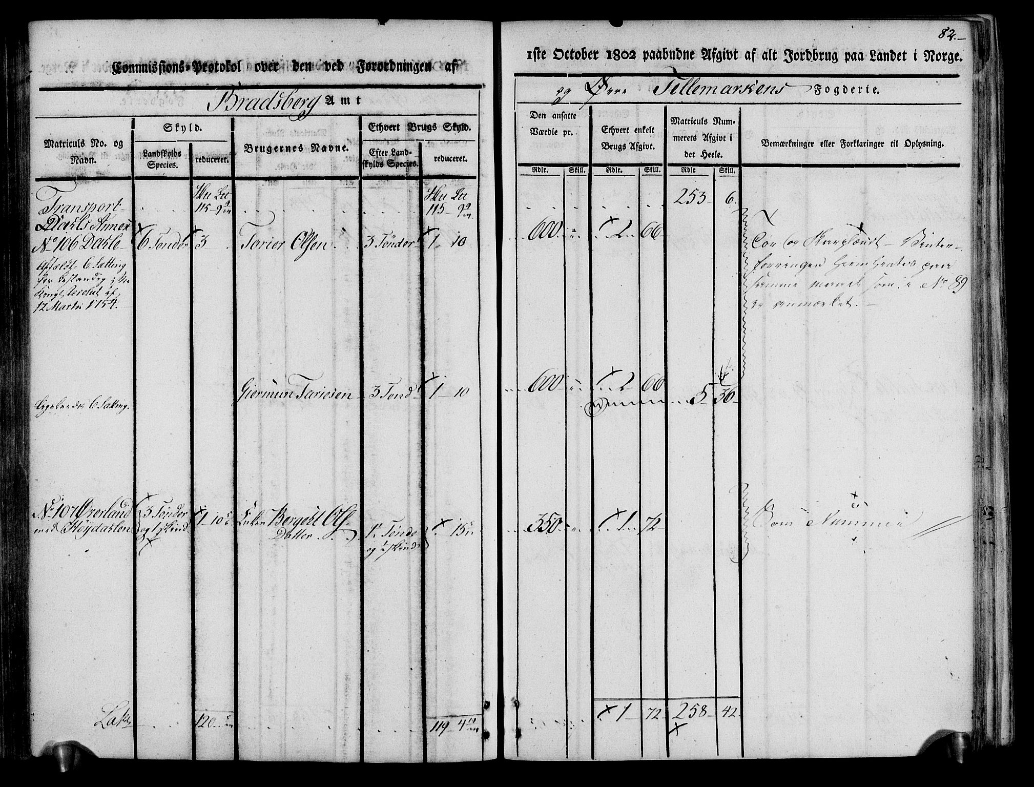 Rentekammeret inntil 1814, Realistisk ordnet avdeling, AV/RA-EA-4070/N/Ne/Nea/L0074: Øvre Telemarken fogderi. Kommisjonsprotokoll for fogderiets østre del - Tinn, Hjartdal og Seljord prestegjeld., 1803, s. 82