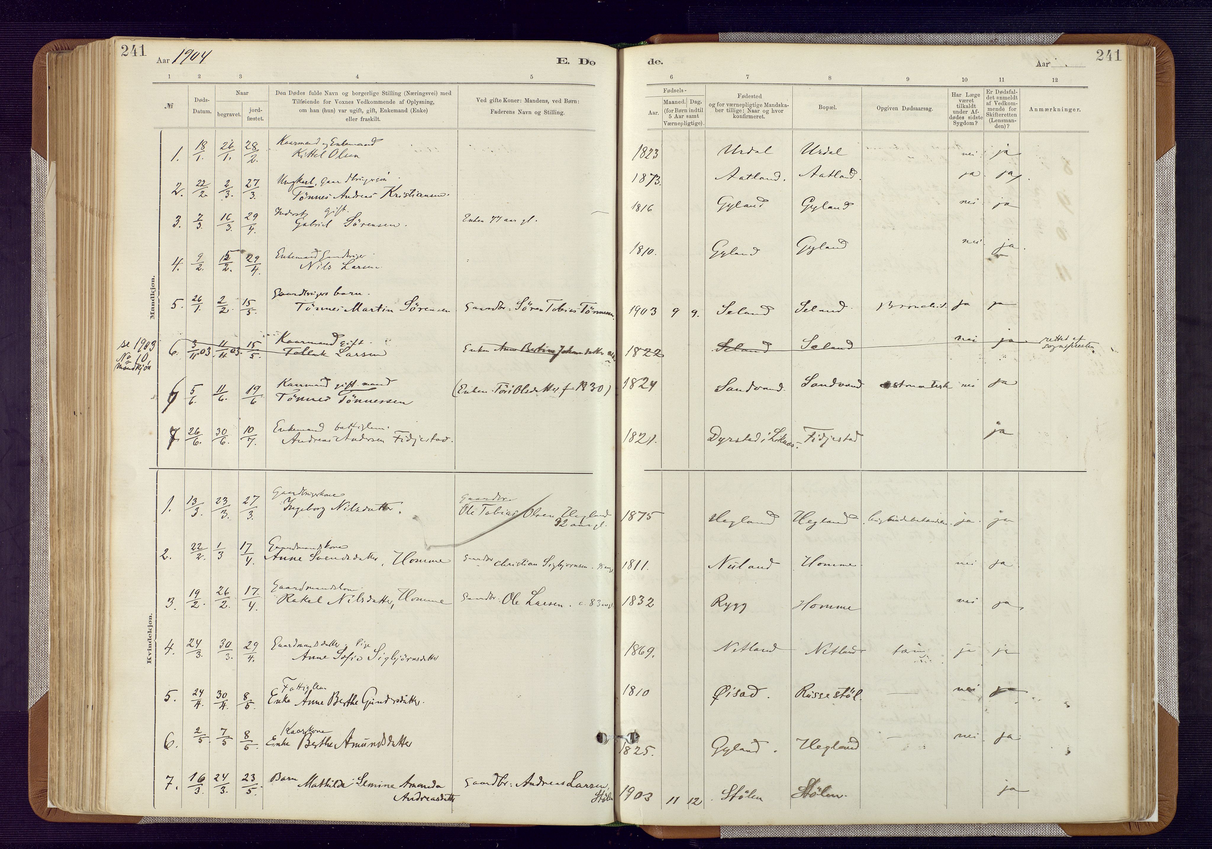 Bakke sokneprestkontor, AV/SAK-1111-0002/F/Fa/Fab/L0003: Ministerialbok nr. A 3, 1884-1921, s. 241