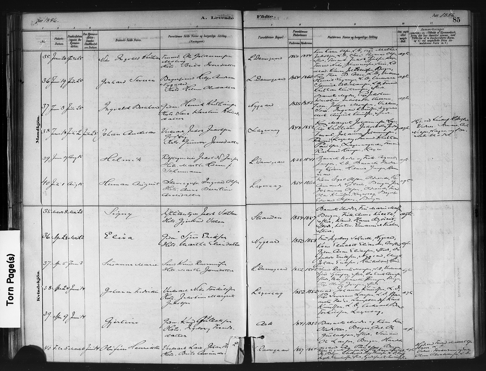 Askøy Sokneprestembete, AV/SAB-A-74101/H/Ha/Haa/Haae/L0002: Ministerialbok nr. E 2, 1878-1891, s. 85